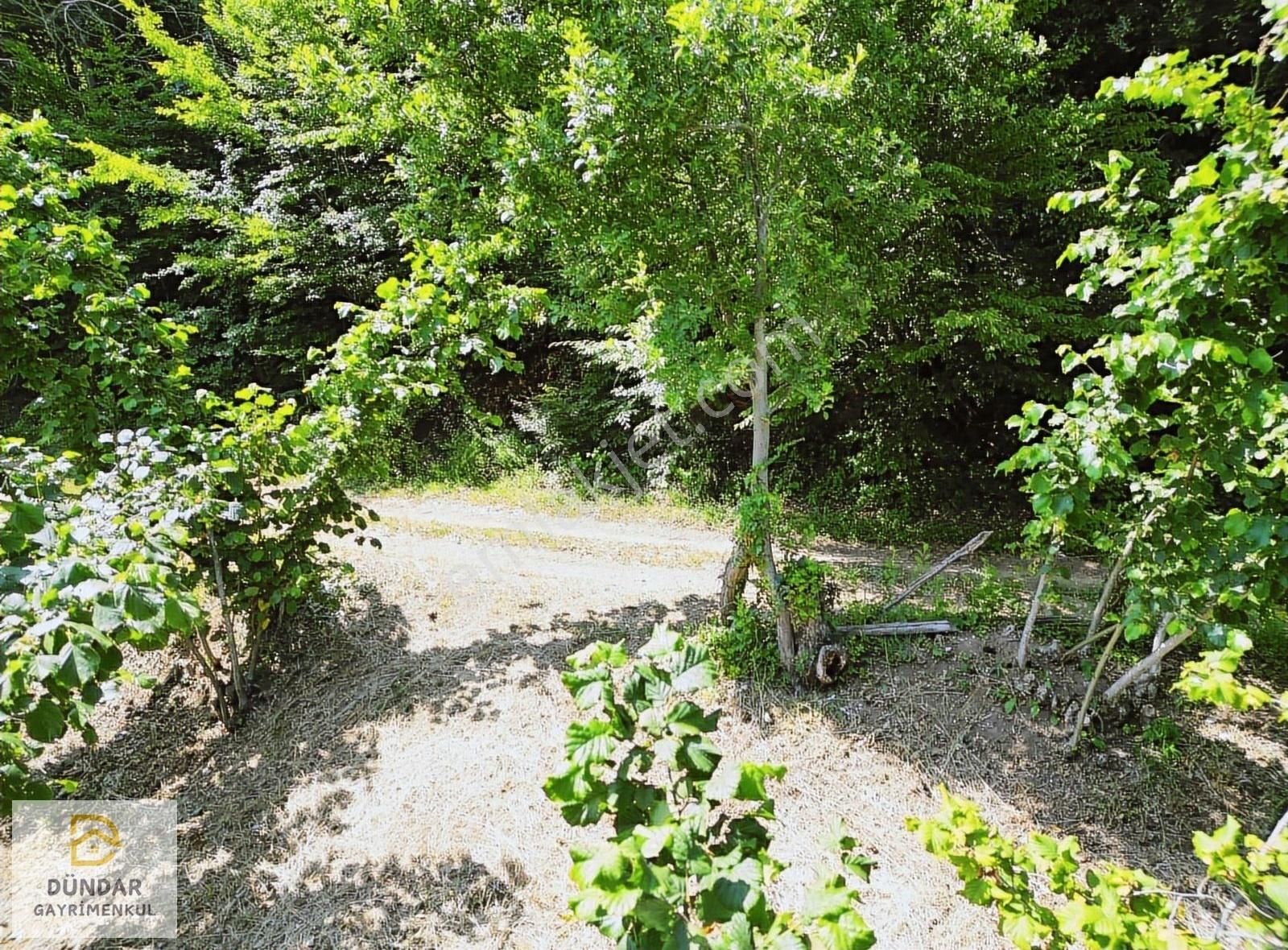 Dündar Gayrimenkul'den Acil Karaderede Fırsat Fındıklık 20 Dönüm - Görsel 26