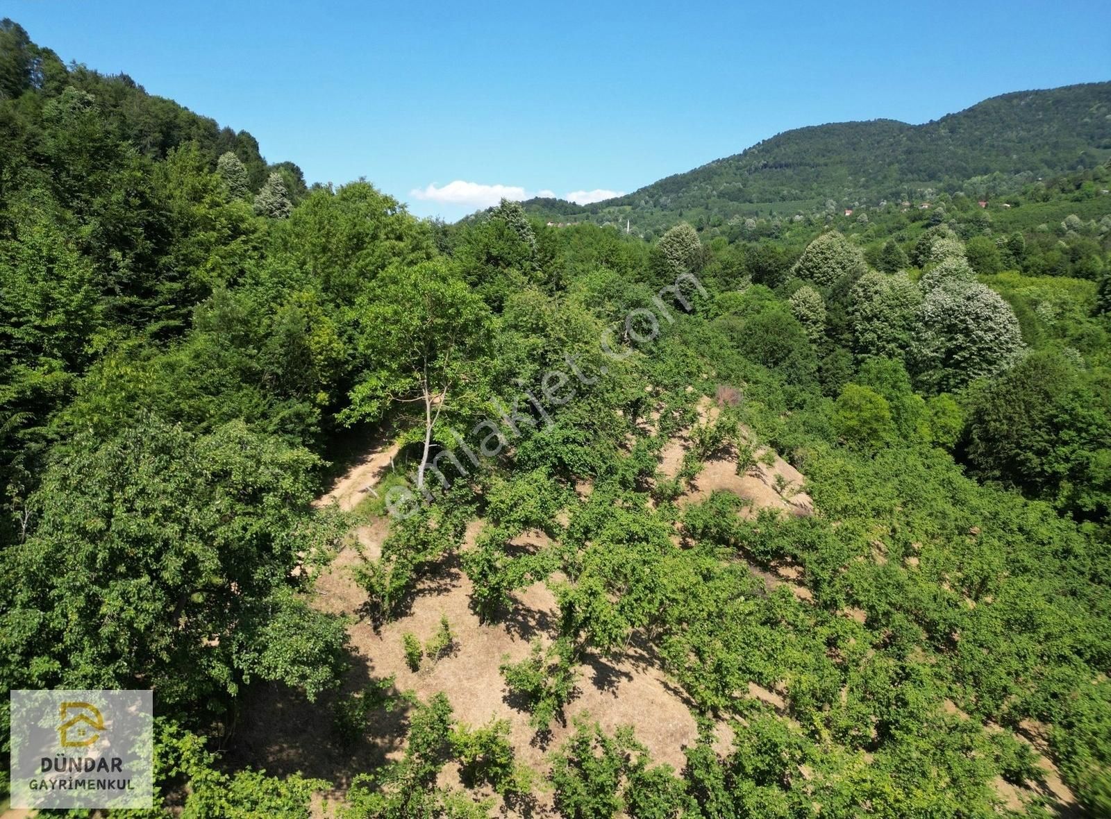 Dündar Gayrimenkul'den Acil Karaderede Fırsat Fındıklık 20 Dönüm - Görsel 21