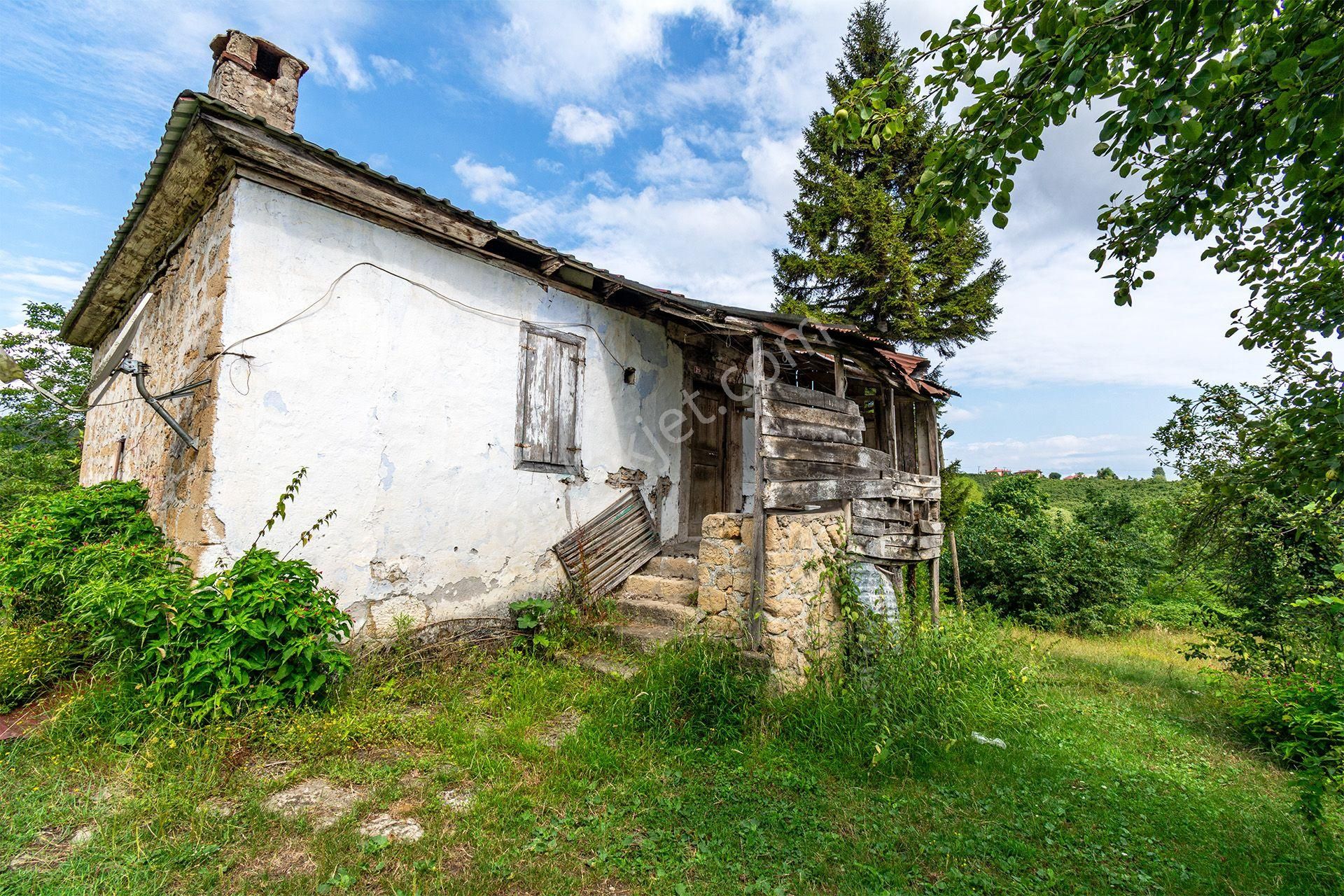 Ordu Altınordu Terzili Mah. 14.744m² Satılık Fındık Bahçesi Arazi Oremlaktan - Görsel 3