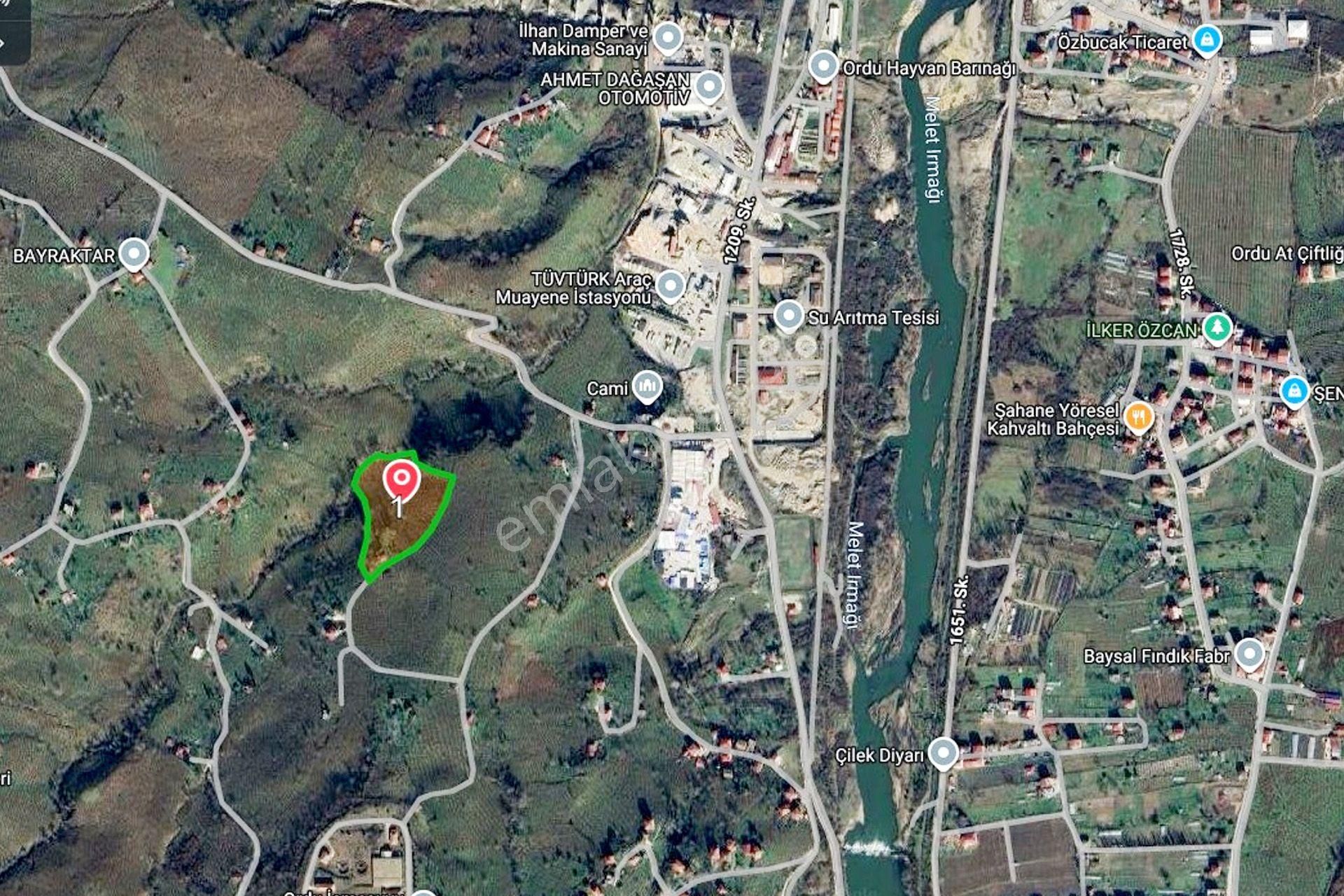 Ordu Altınordu Terzili Mah. 14.744m² Satılık Fındık Bahçesi Arazi Oremlaktan - Görsel 20