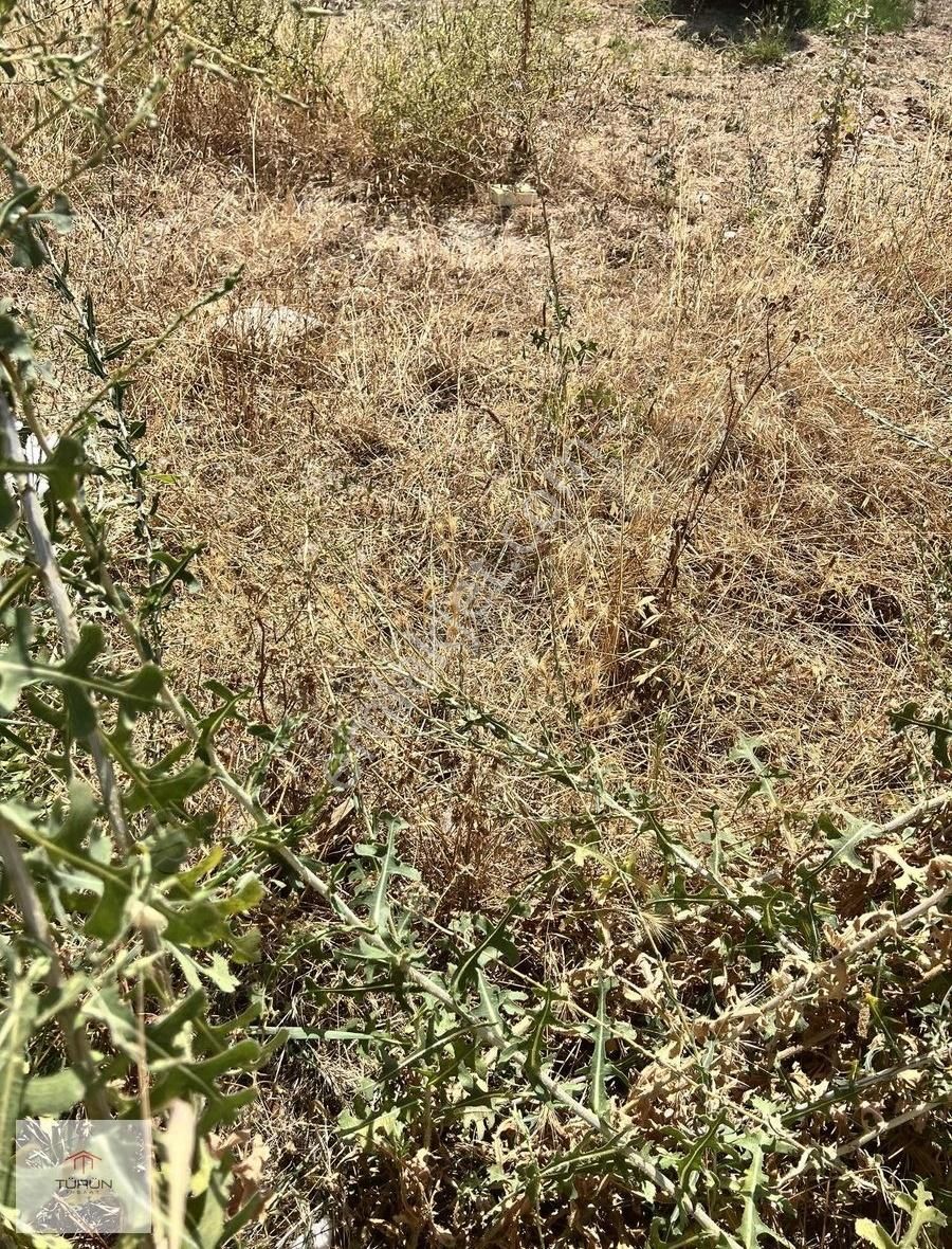 Seydikemer Kabaağaç Satılık Köyiçi İmarlı Arsa - Görsel 3