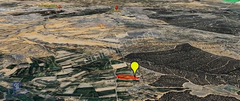 Yukarıyenice Köyünde 5925 M² Verimli Tarla Fırsatı
