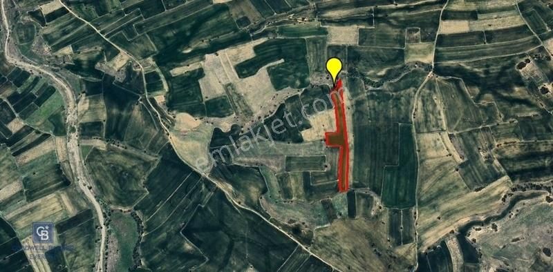 Afyon Dazkırı Yukarıyenicede 6642 M² Fırsat Yatırımlık Tarla