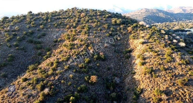 Bodrum İslamhaneleri-gürece 624 M2 Fırsat Arsa - Görsel 3
