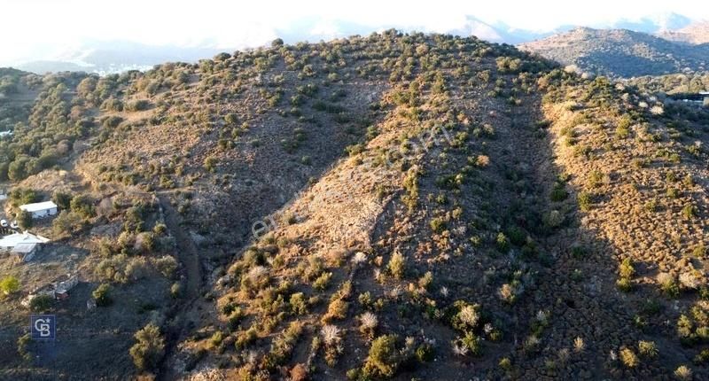 Bodrum İslamhaneleri-gürece 624 M2 Fırsat Arsa