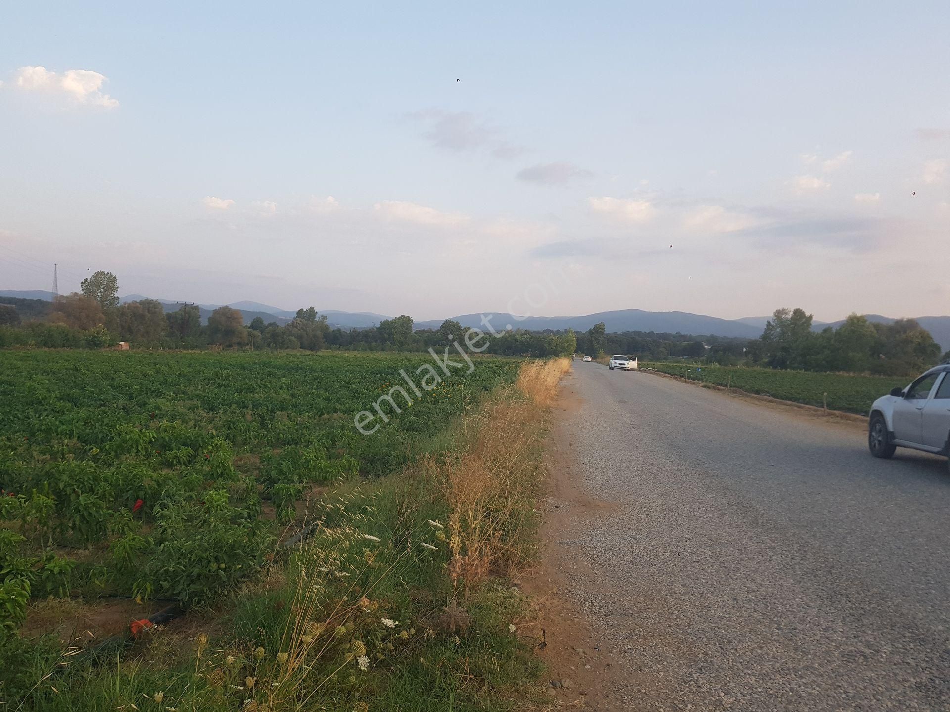 Kazdağları Kurtlar Anayola Sıfır - Görsel 2
