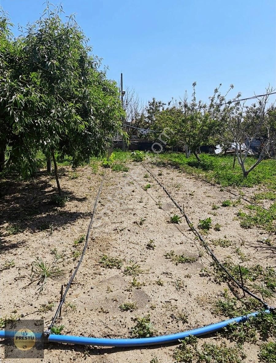 Barsama'da Temiz Parsel Yola Sıfır Daire Takaslı - Görsel 4