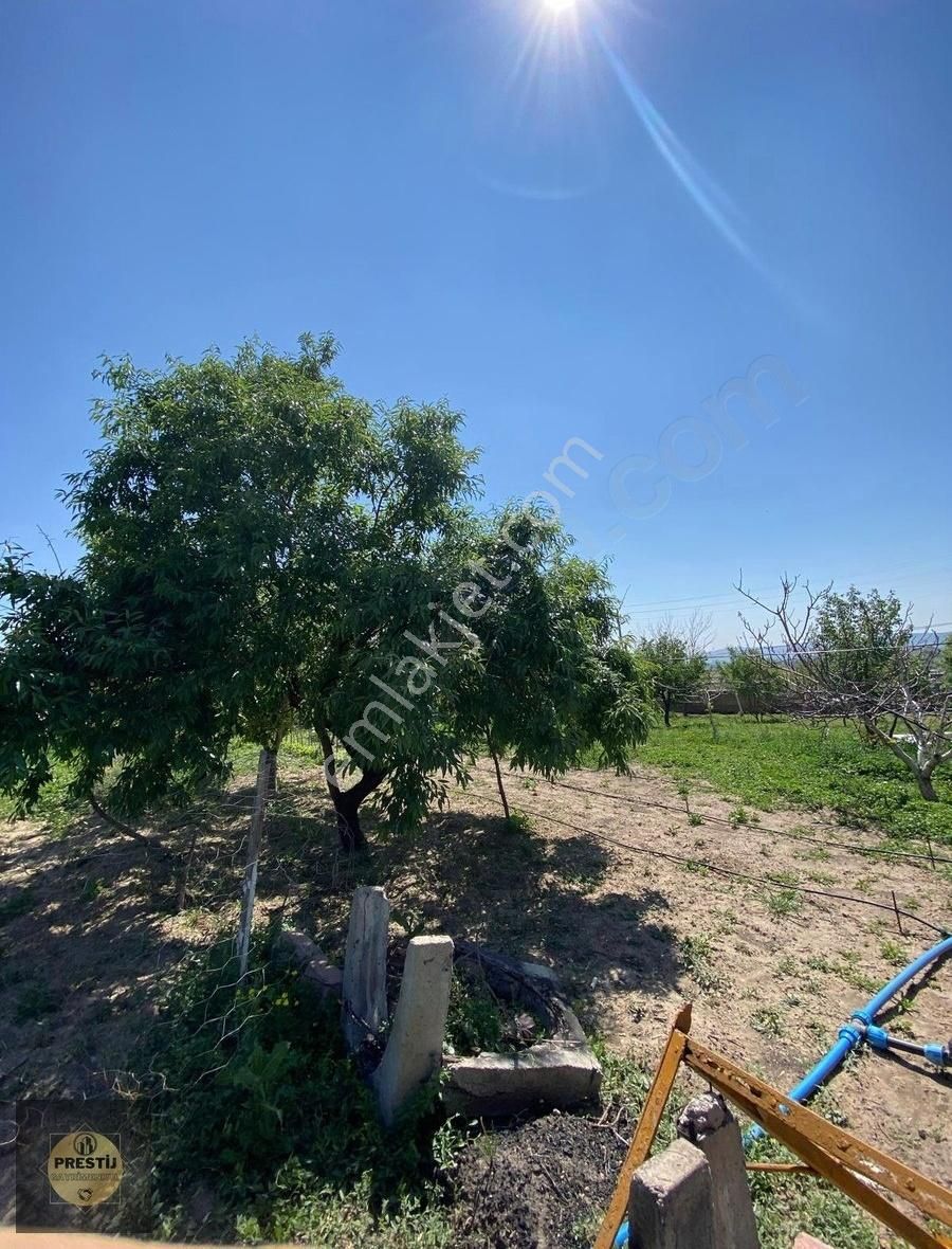 Barsama'da Temiz Parsel Yola Sıfır Daire Takaslı - Görsel 6