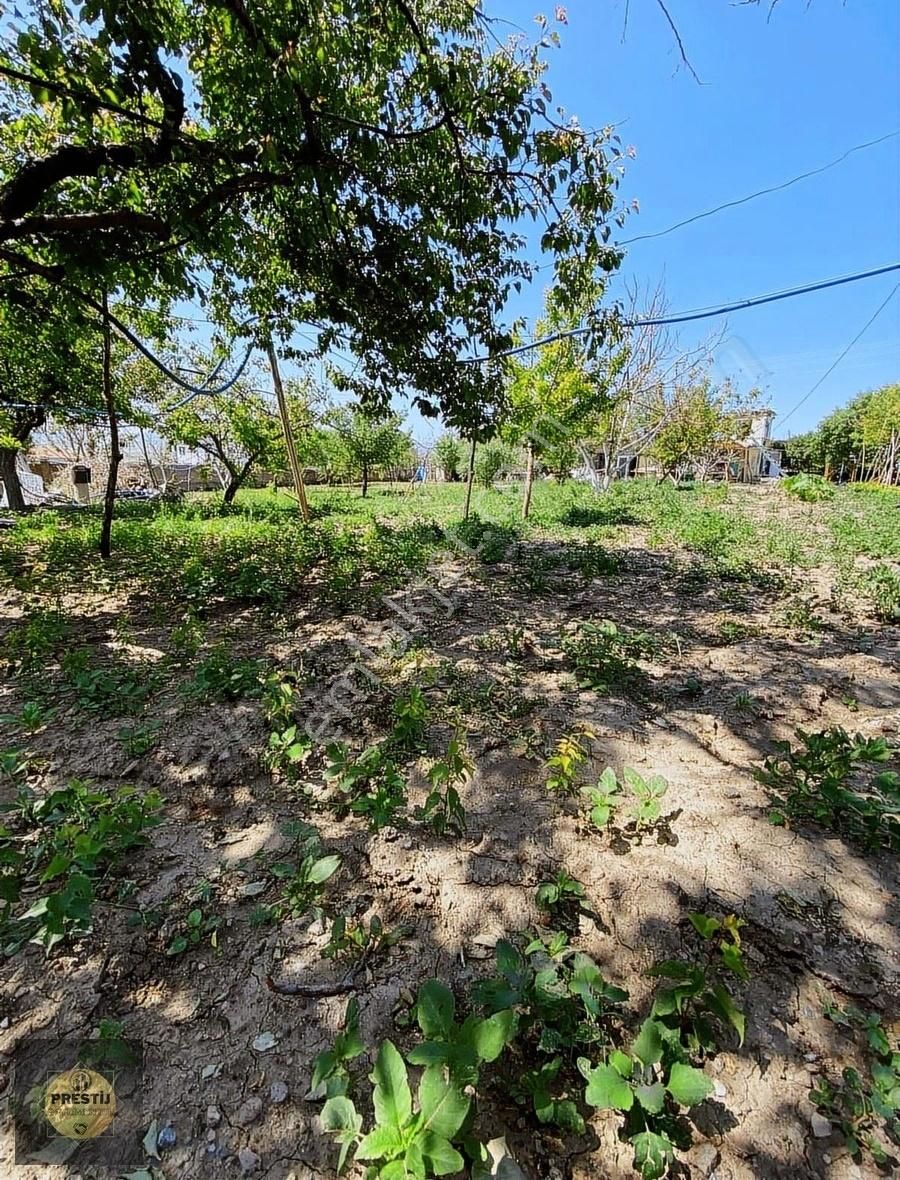 Barsama'da Temiz Parsel Yola Sıfır Daire Takaslı - Görsel 2