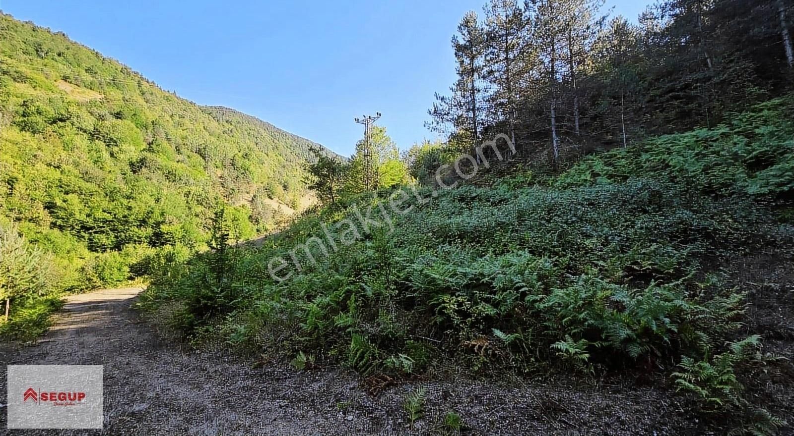 Alaçam Vicikler Elektrik,su Ve Yolu Mevcut 1831 M2