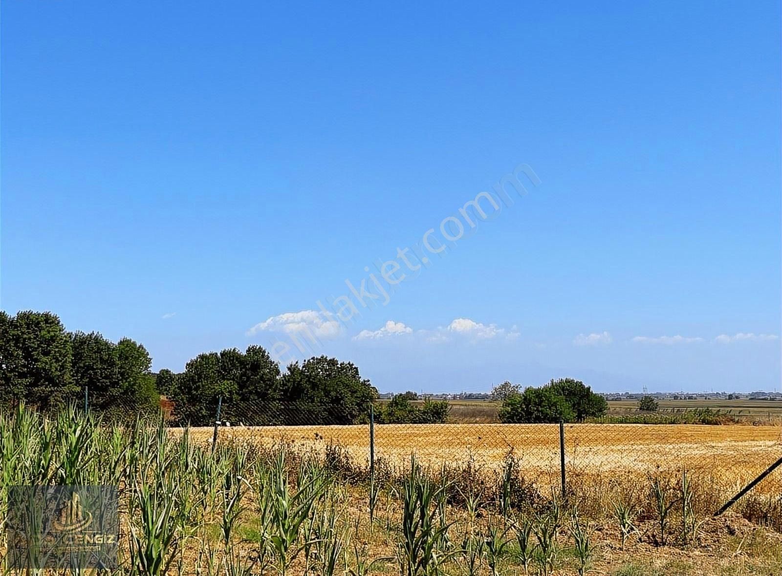 Alandüzünde Şehir Hastanesine 500 Metre Mesafede 18.500 M2 Tarla - Görsel 2