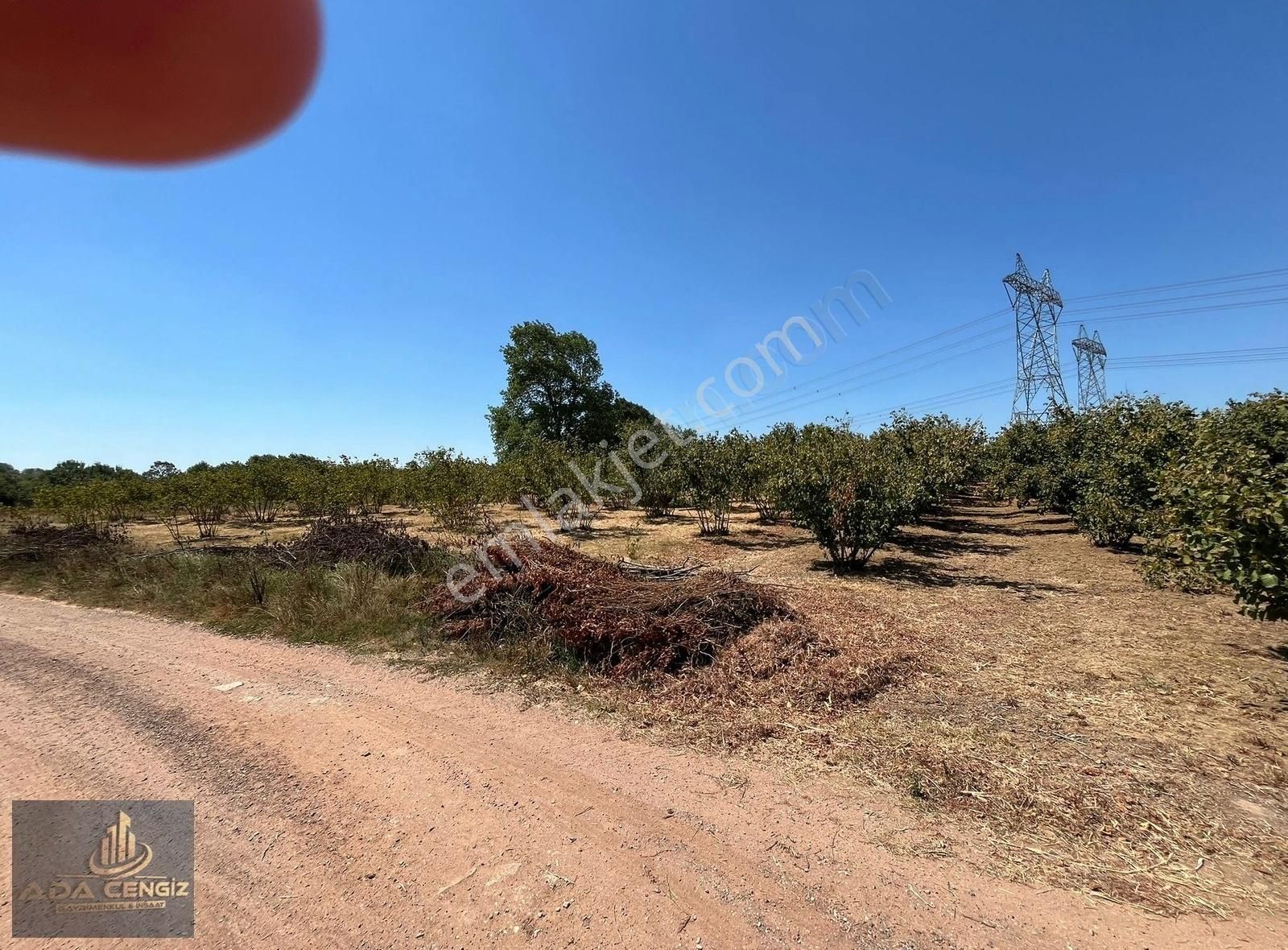 Alandüzünde Şehir Hastanesine 500 Metre Mesafede 18.500 M2 Tarla