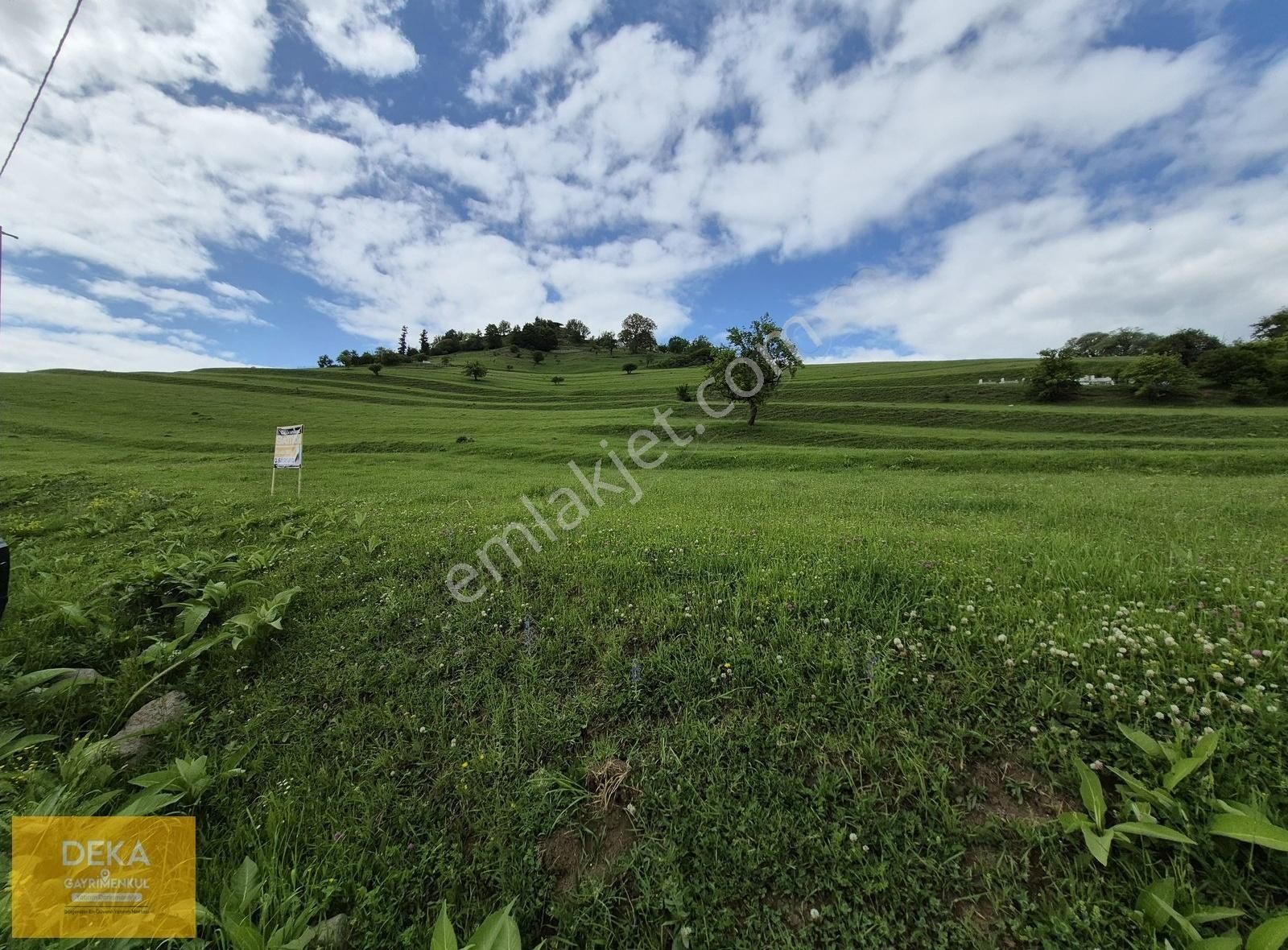 Deka Gayrimenkul'den Sakin Şehir Ünvanlı Şavşat Yavuzköyde Tarla - Görsel 8