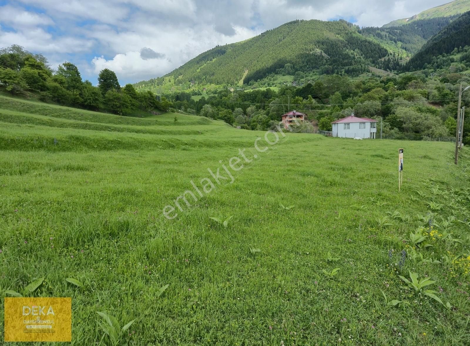 Deka Gayrimenkul'den Sakin Şehir Ünvanlı Şavşat Yavuzköyde Tarla - Görsel 4