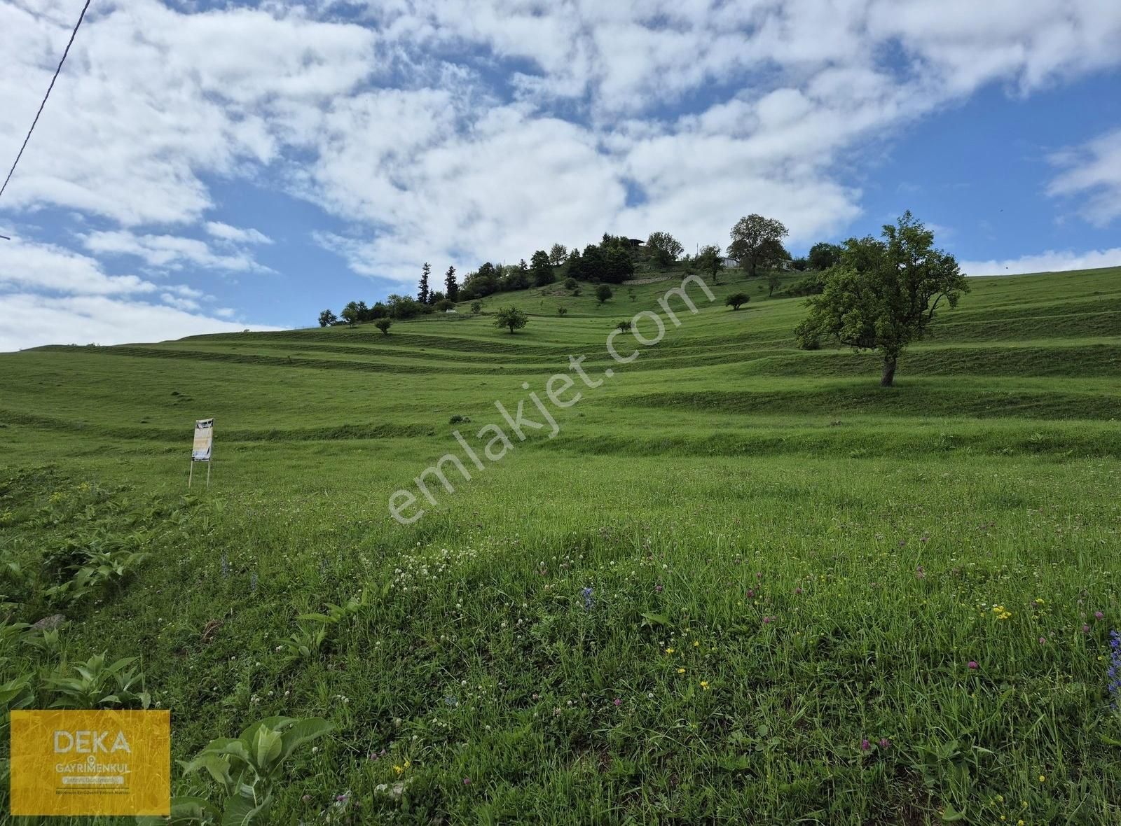Deka Gayrimenkul'den Sakin Şehir Ünvanlı Şavşat Yavuzköyde Tarla - Görsel 2