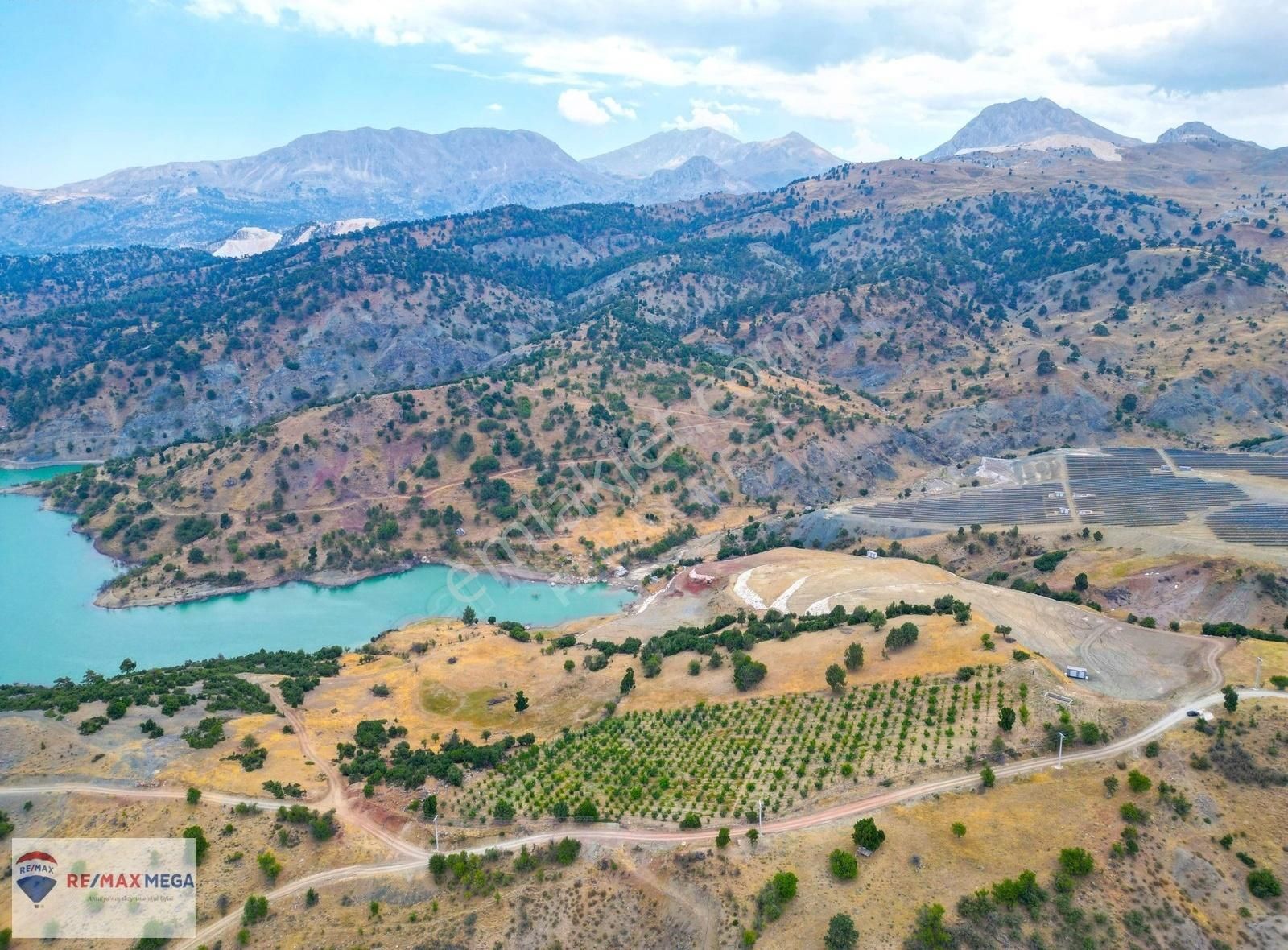 Korkuteli Güzle'de Yatırıma Uygun 16.308 M² Meyve Bahçesı