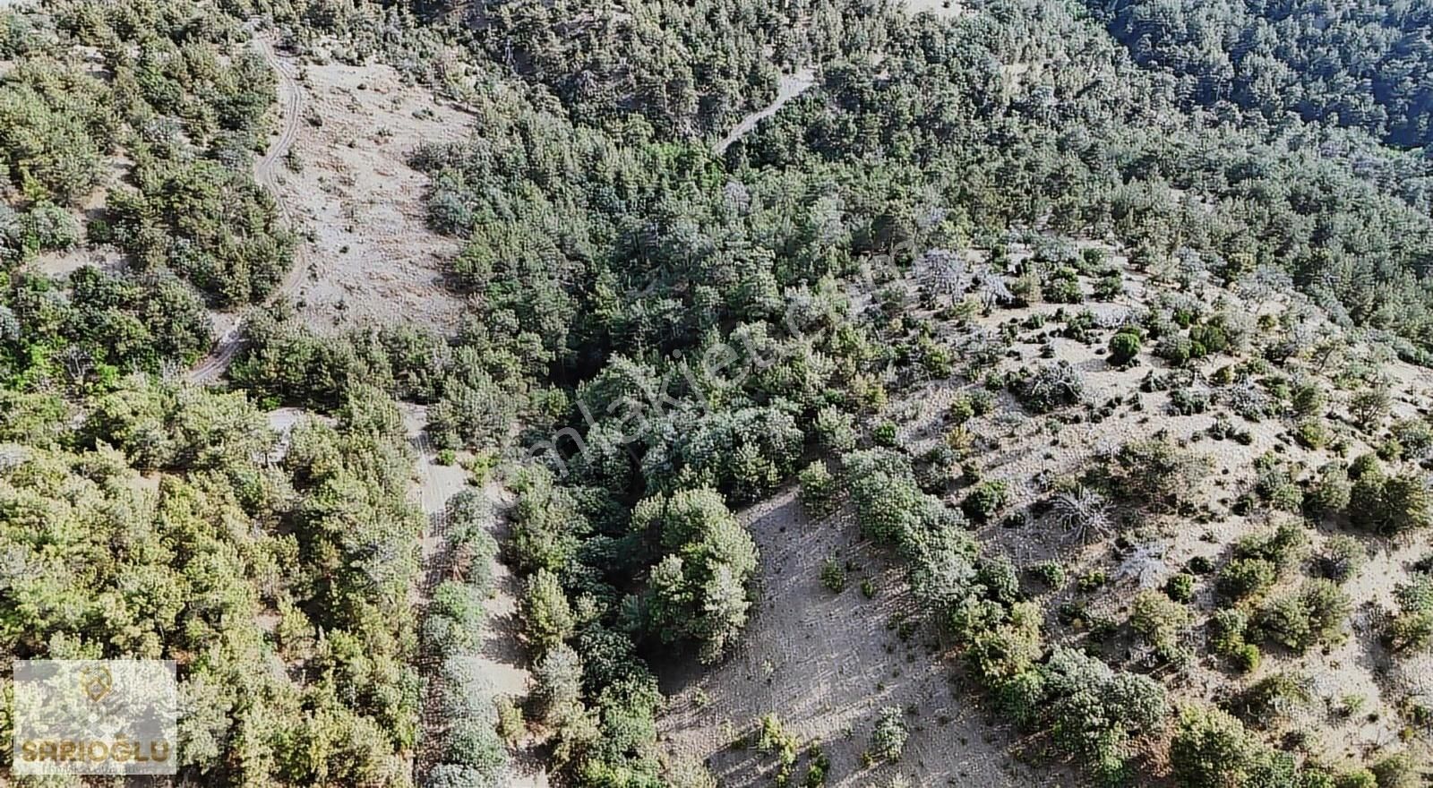 Merkez Sarıbeyli'de Bölgenin En Uygun Fiyatlısı 20.500 M2 Tarla - Görsel 10