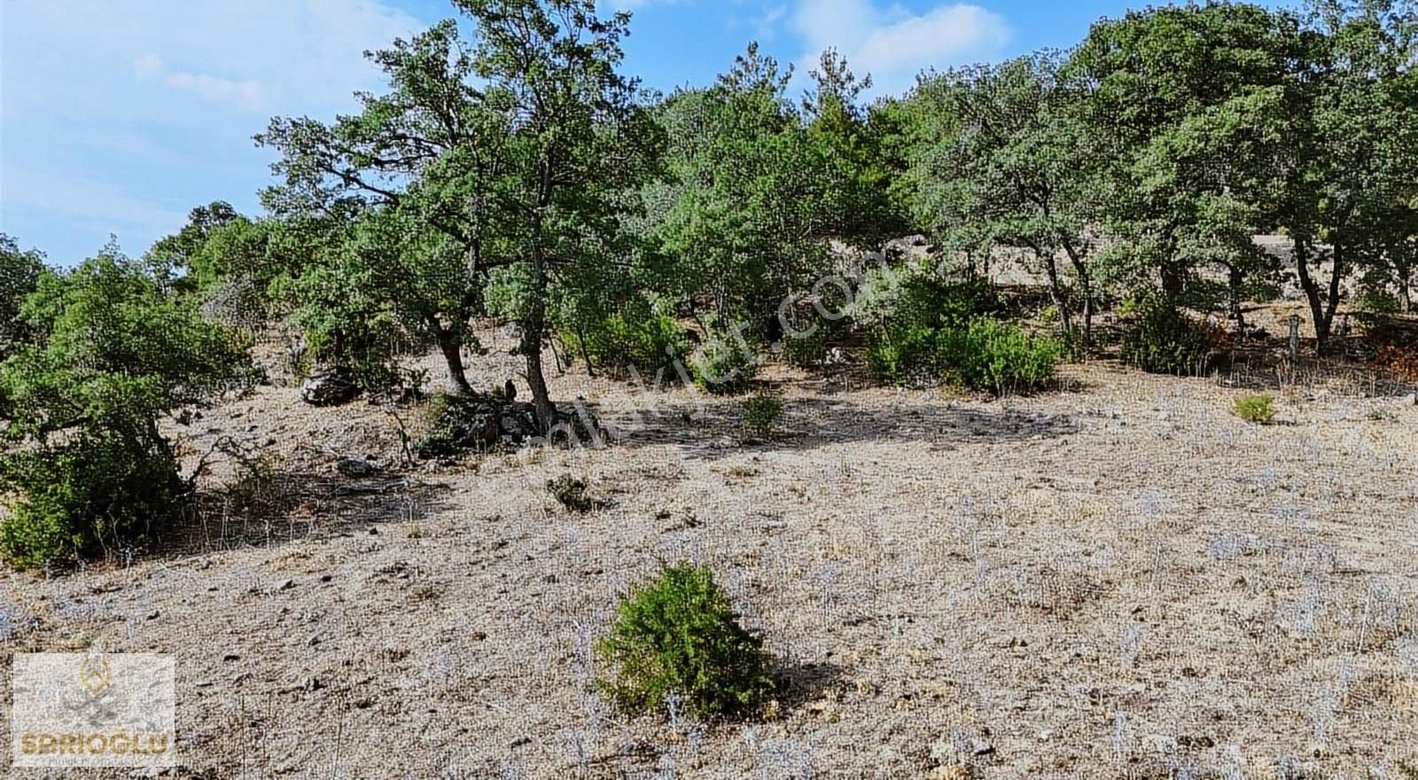 Merkez Sarıbeyli'de Bölgenin En Uygun Fiyatlısı 20.500 M2 Tarla - Görsel 14