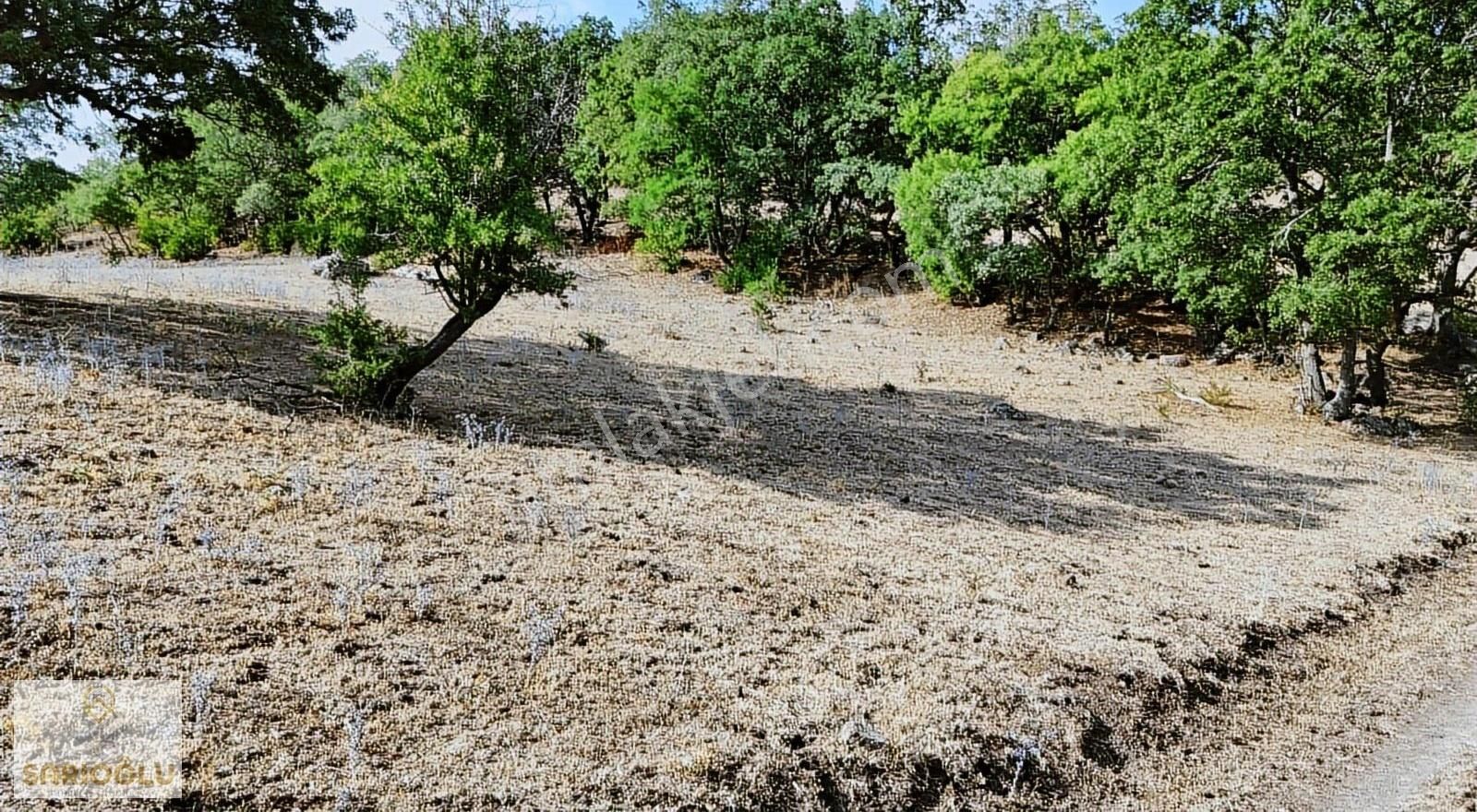 Merkez Sarıbeyli'de Bölgenin En Uygun Fiyatlısı 20.500 M2 Tarla