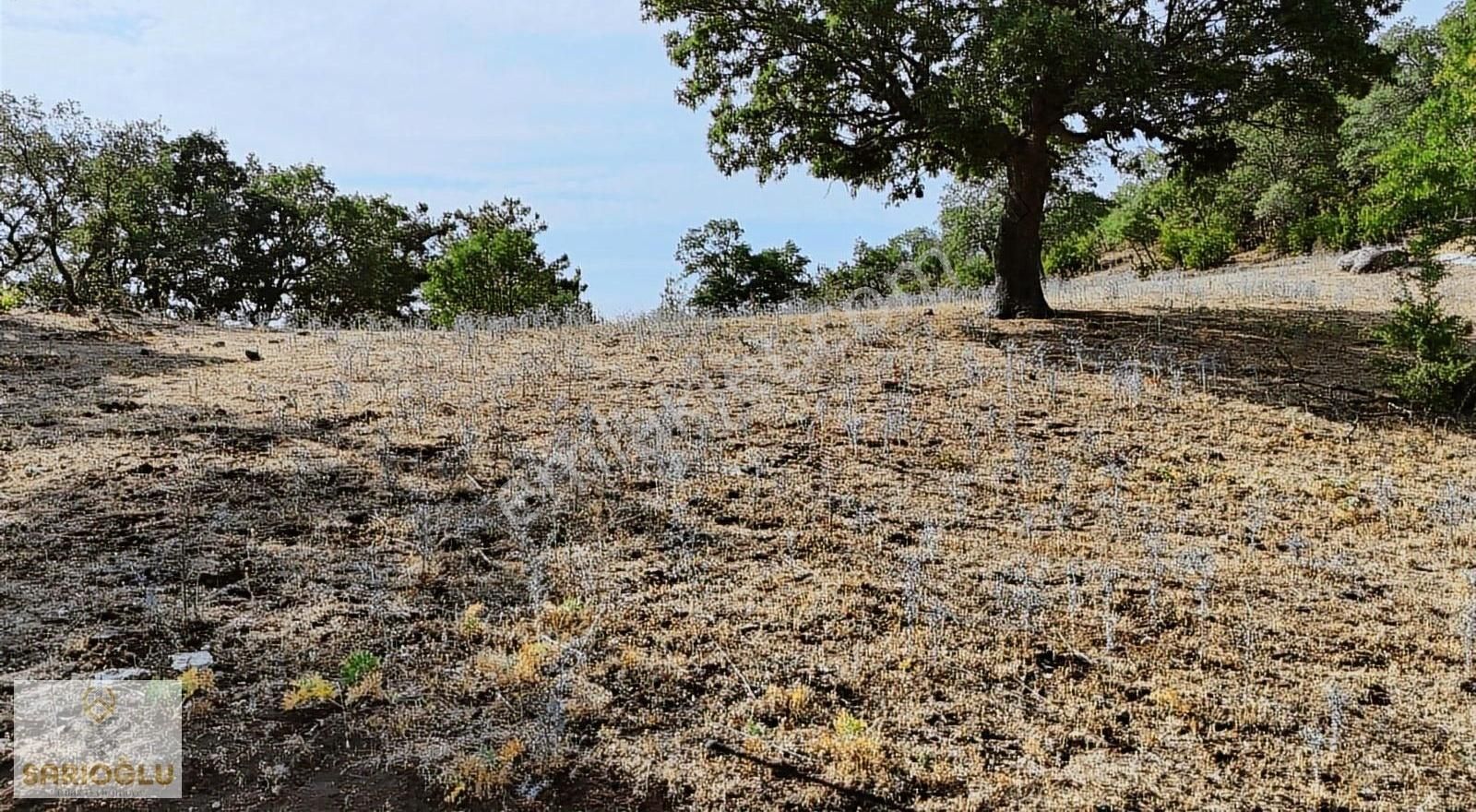 Merkez Sarıbeyli'de Bölgenin En Uygun Fiyatlısı 20.500 M2 Tarla - Görsel 9