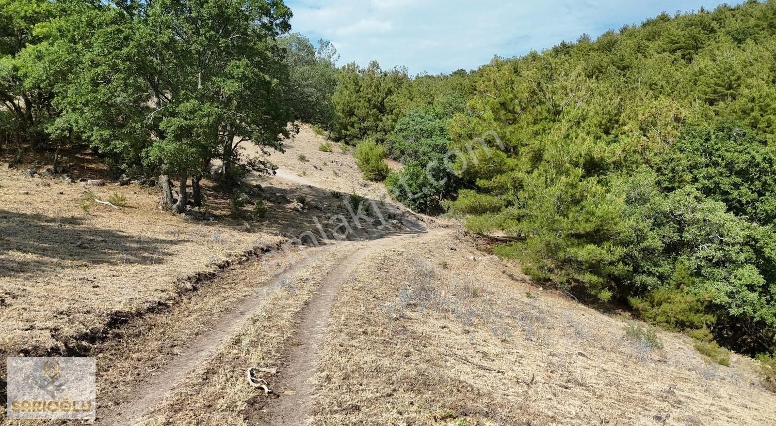 Merkez Sarıbeyli'de Bölgenin En Uygun Fiyatlısı 20.500 M2 Tarla - Görsel 7