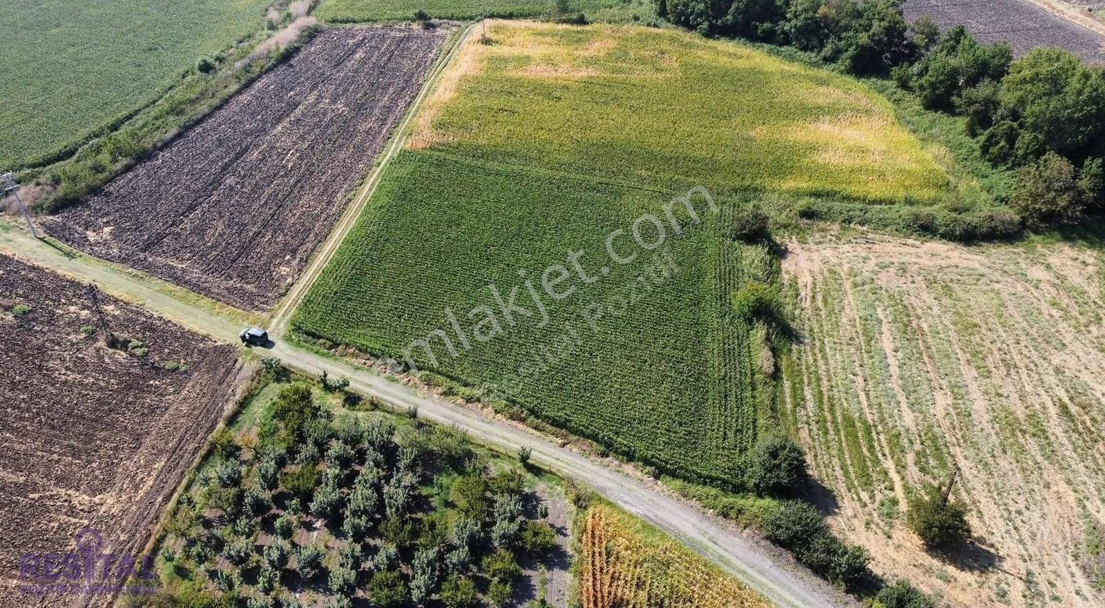 Karacabey Eskikaraağaçta Satılık 4800 M2 Tarla