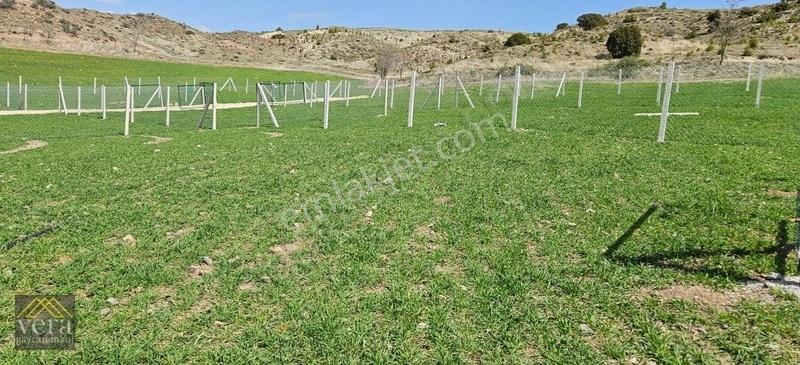 Yaz Kış Ulaşım Kolaylığı, Satılık Hobi Bahçeleri Elek-su Tel Örg - Görsel 19