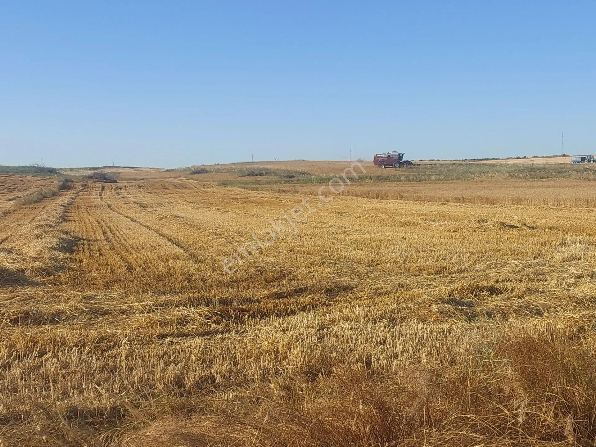 Yatırımlık Verimli Tarla - Yola Cephe, Köye Yakın, Müstakil Tapulu - Görsel 4