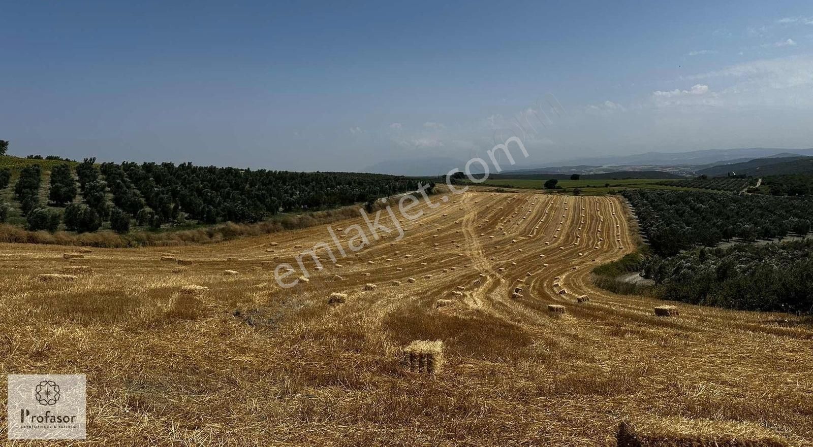 Profasor *dan Mudanya Çamlık'ta Satılık 12930m2 Tarla - Görsel 4