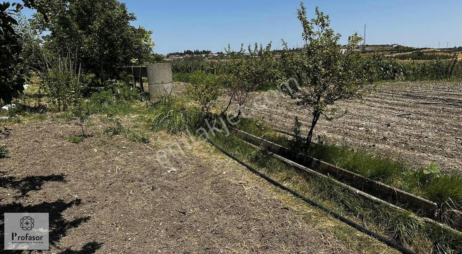 Profasor *dan Karacabey Harmanlı'da Satılık Tarla