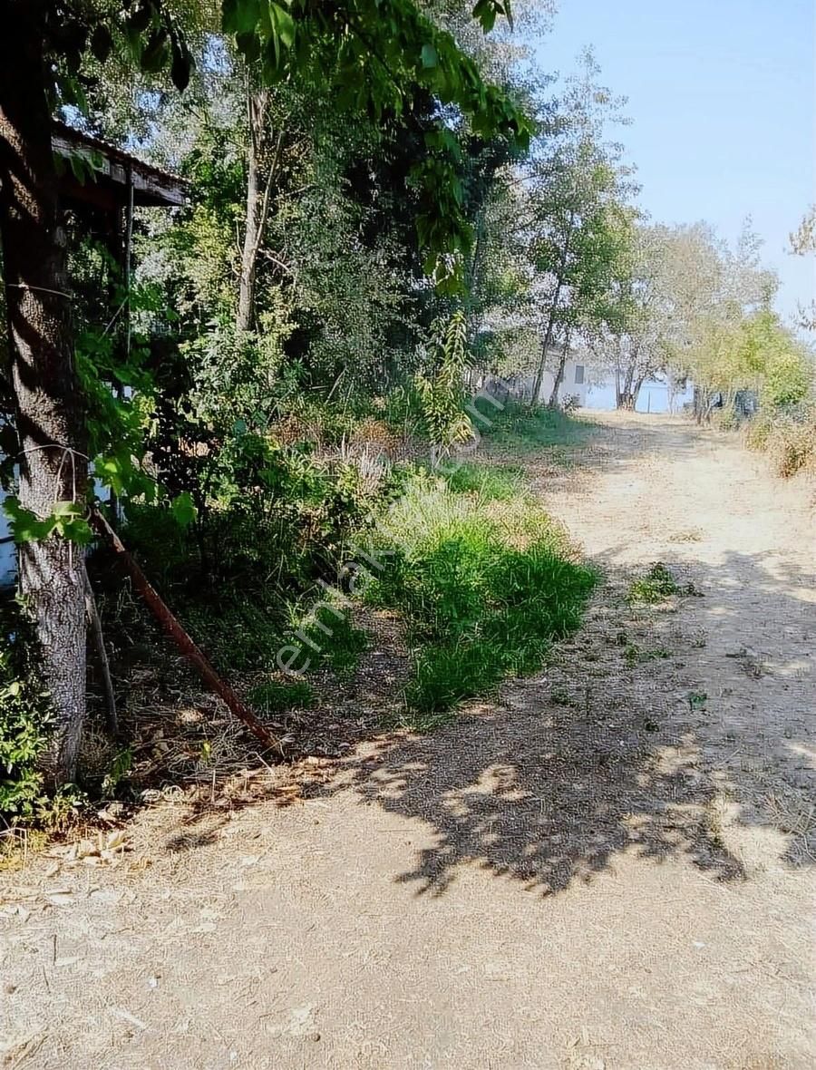 Serbesler Emlak - Görsel 4