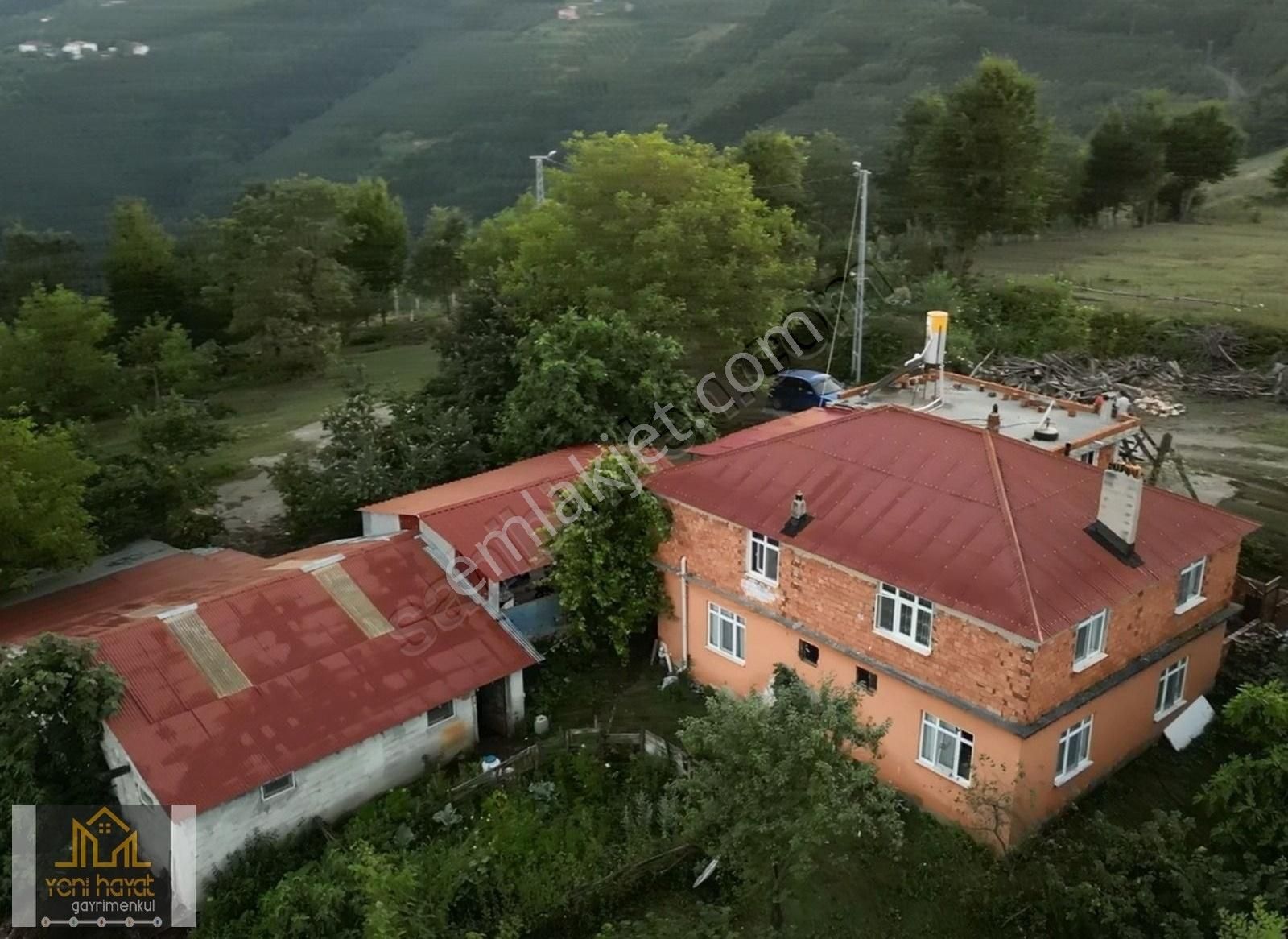Tekkeköy Yaylageris De 20 Dönüm Fındık Bahçesi İki Katli Ev Ahır - Görsel 15