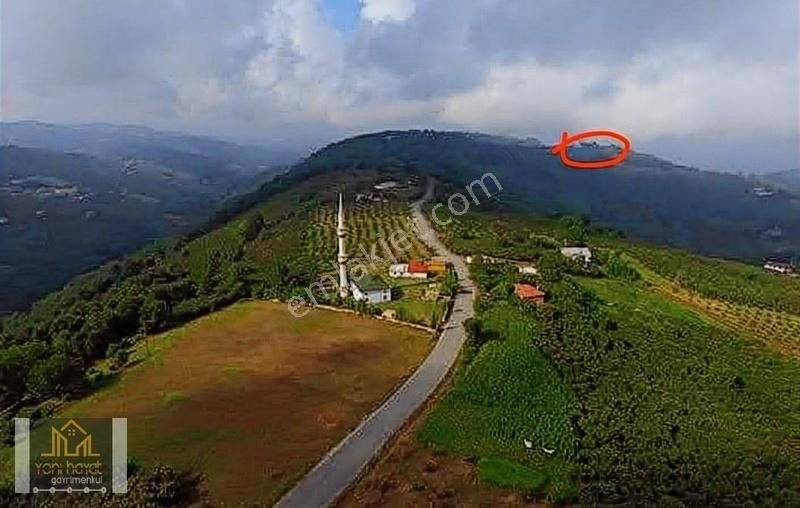 Tekkeköy Yaylageris De 20 Dönüm Fındık Bahçesi İki Katli Ev Ahır - Görsel 14
