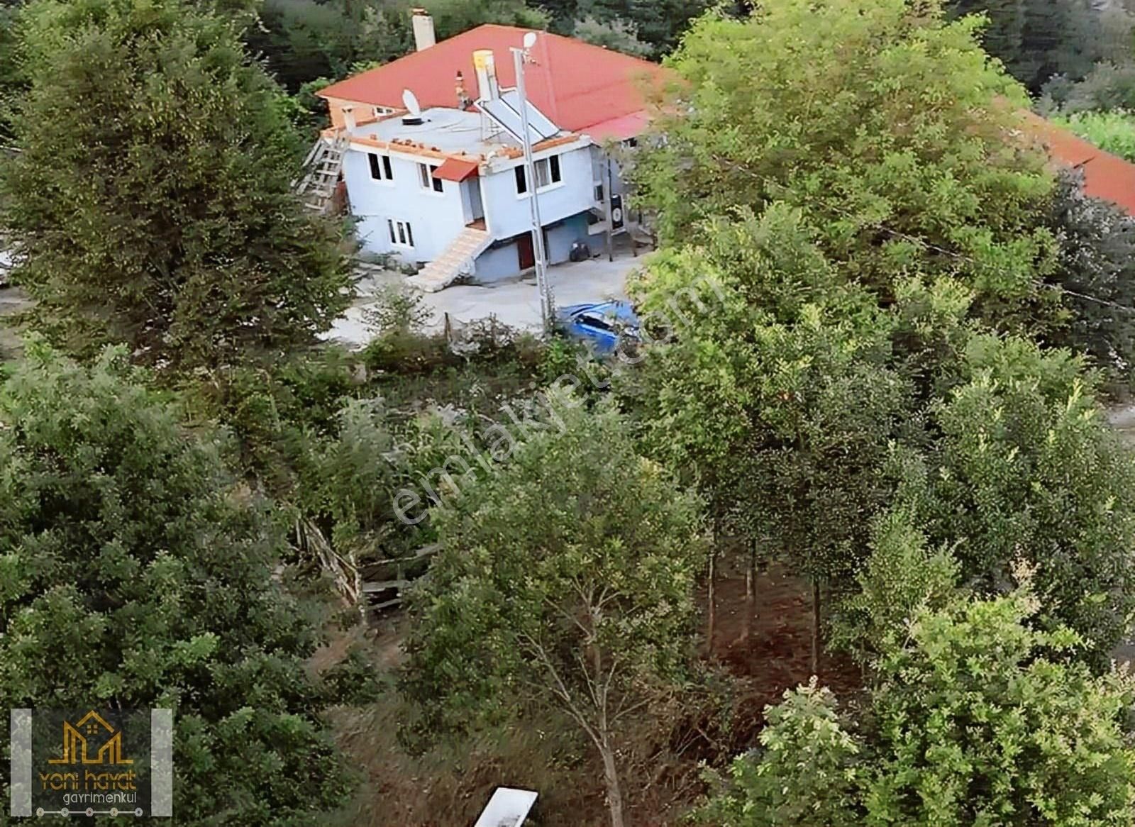 Tekkeköy Yaylageris De 20 Dönüm Fındık Bahçesi İki Katli Ev Ahır - Görsel 24