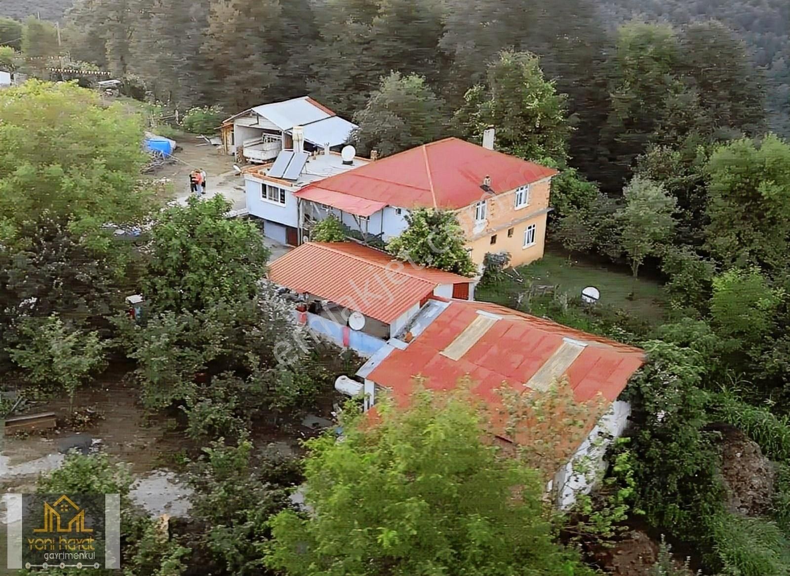 Tekkeköy Yaylageris De 20 Dönüm Fındık Bahçesi İki Katli Ev Ahır - Görsel 33