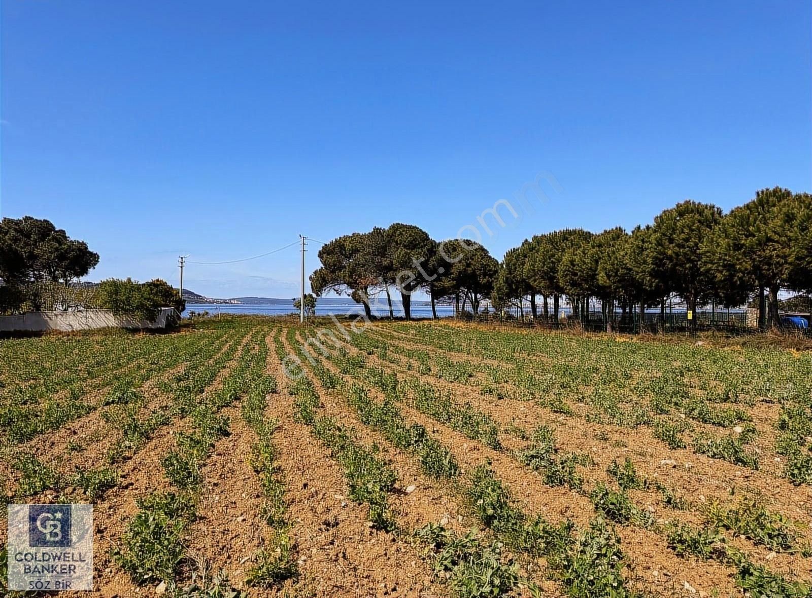 Çanakkale Kepezde 2388m2 Günübirlik Tesis Alanında Satılık Arsa