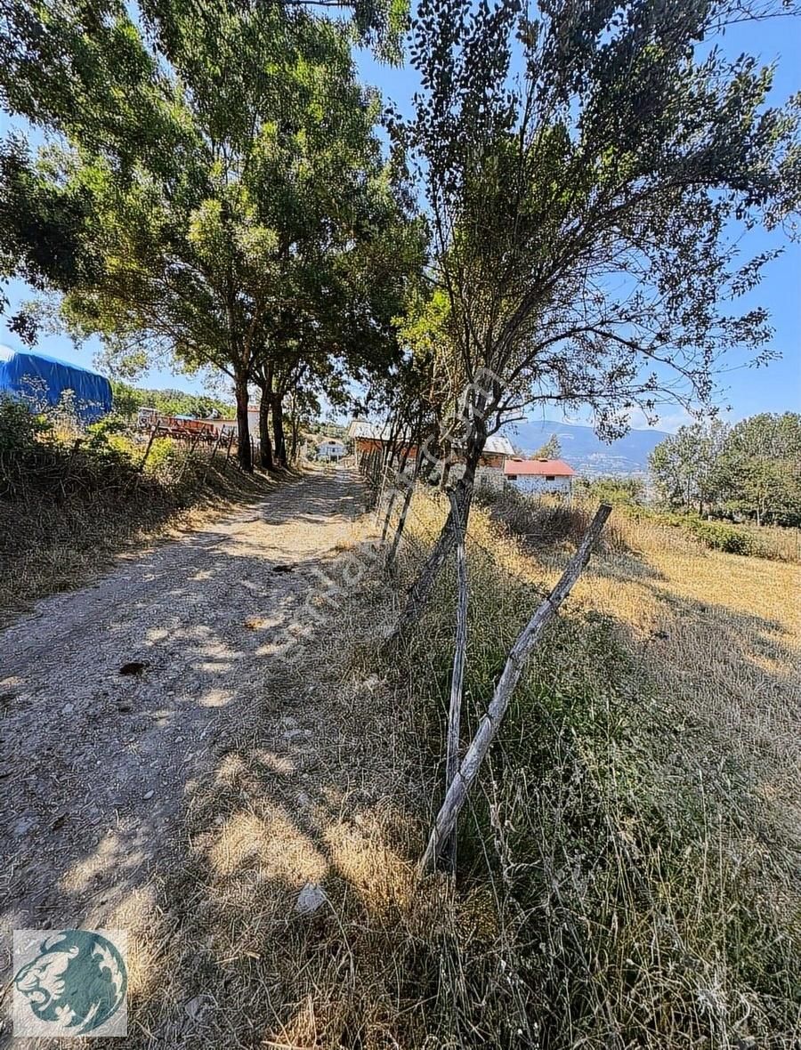 Samsunun Göz Bebegi Sarayköy De 6.500 M2 Acil Kelepir Yer - Görsel 2