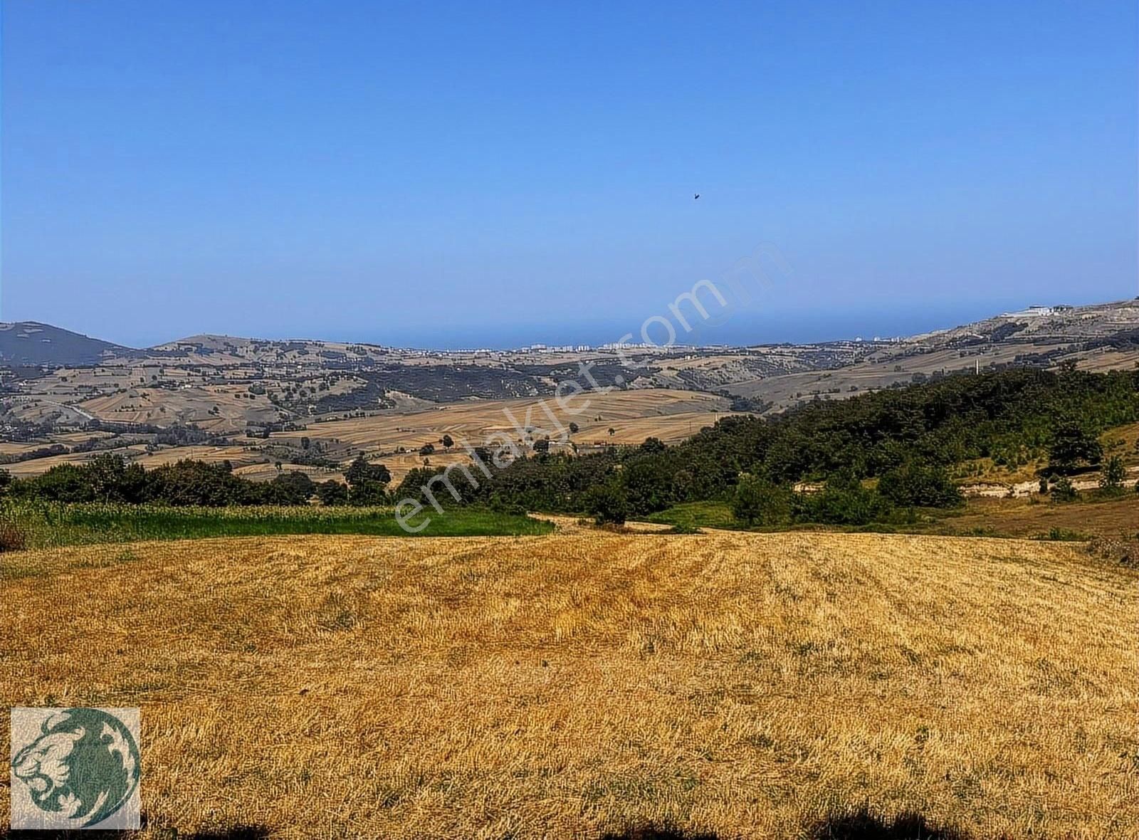 Samsunun Göz Bebegi Sarayköy De 6.500 M2 Acil Kelepir Yer - Görsel 7