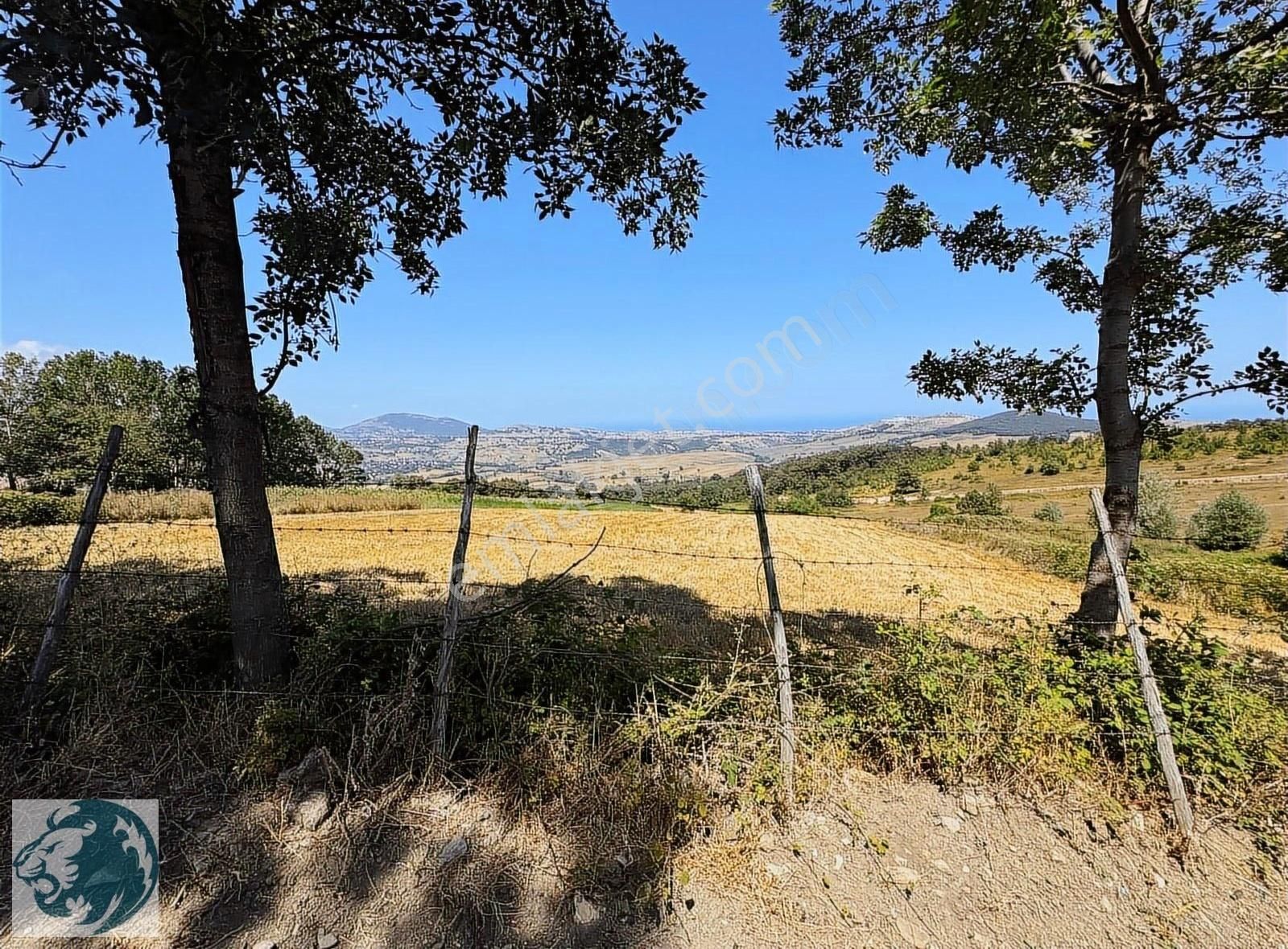 Samsunun Göz Bebegi Sarayköy De 6.500 M2 Acil Kelepir Yer - Görsel 6