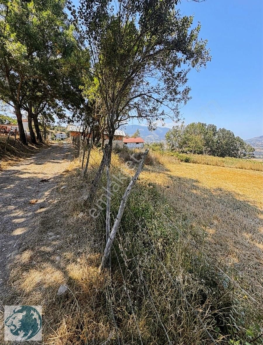 Samsunun Göz Bebegi Sarayköy De 6.500 M2 Acil Kelepir Yer - Görsel 8