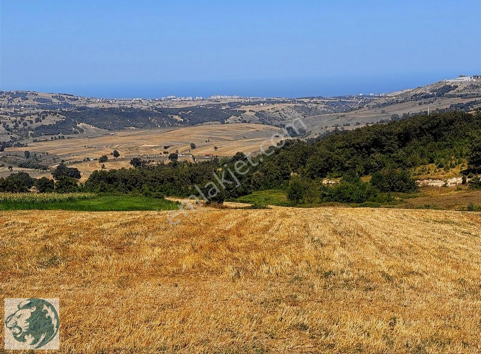 Samsunun Göz Bebegi Sarayköy De 6.500 M2 Acil Kelepir Yer - Görsel 5