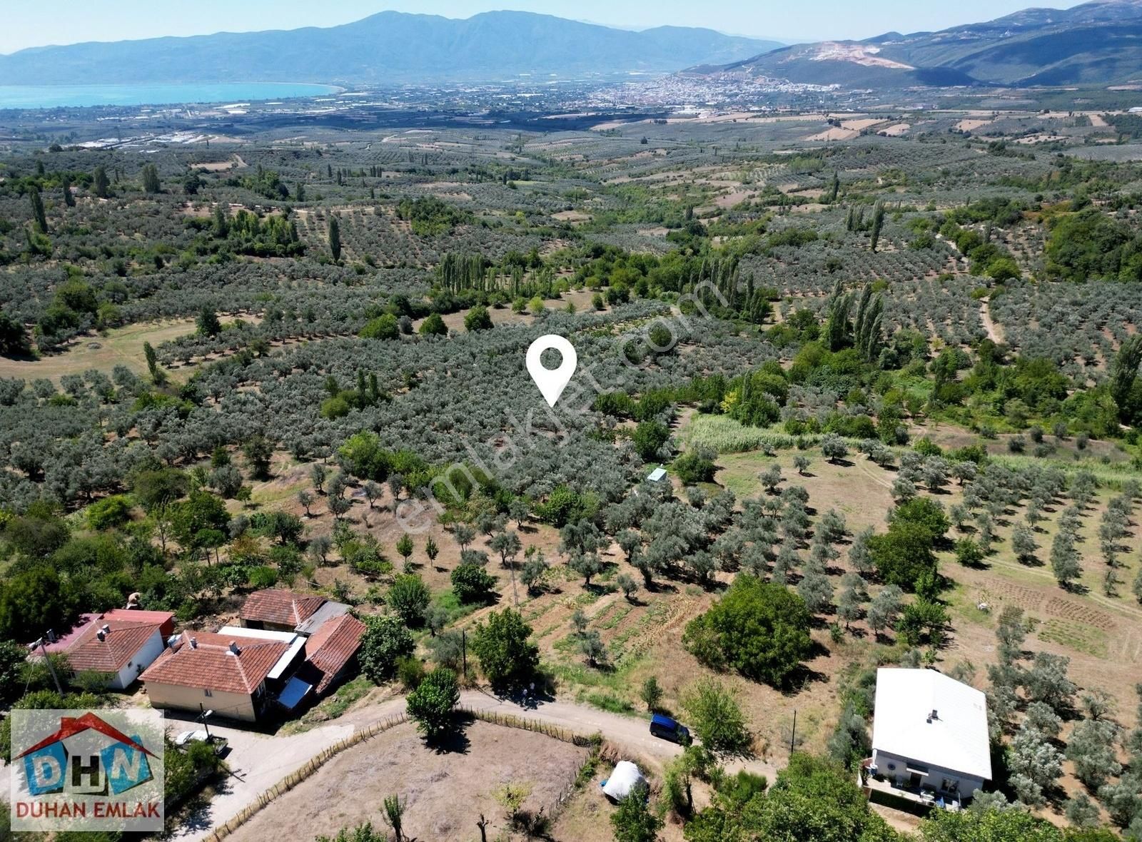 Duhan Emlak'tan Orhangazi Ortaköy'de 11.602m2 Bakımlı Zeytinlik - Görsel 11