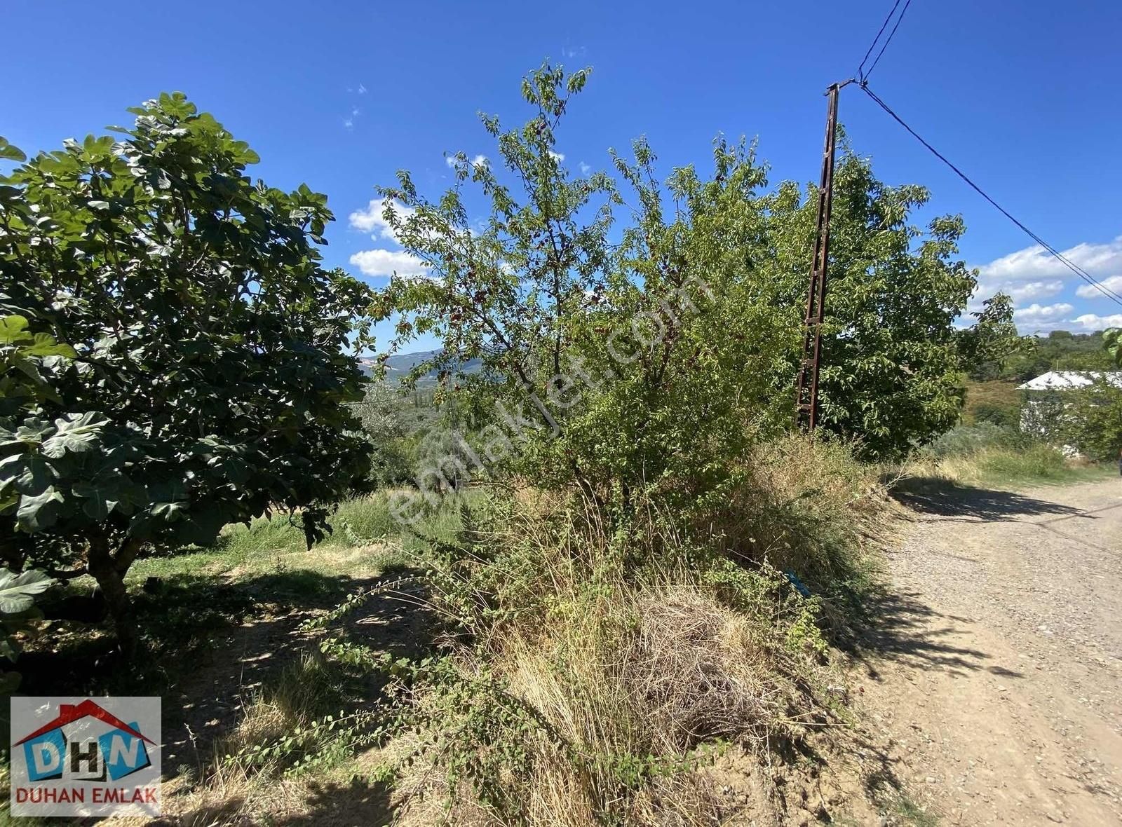 Duhan Emlak'tan Orhangazi Ortaköy'de 11.602m2 Bakımlı Zeytinlik - Görsel 13