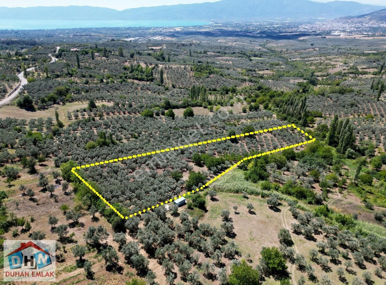 Duhan Emlak'tan Orhangazi Ortaköy'de 11.602m2 Bakımlı Zeytinlik - Görsel 29