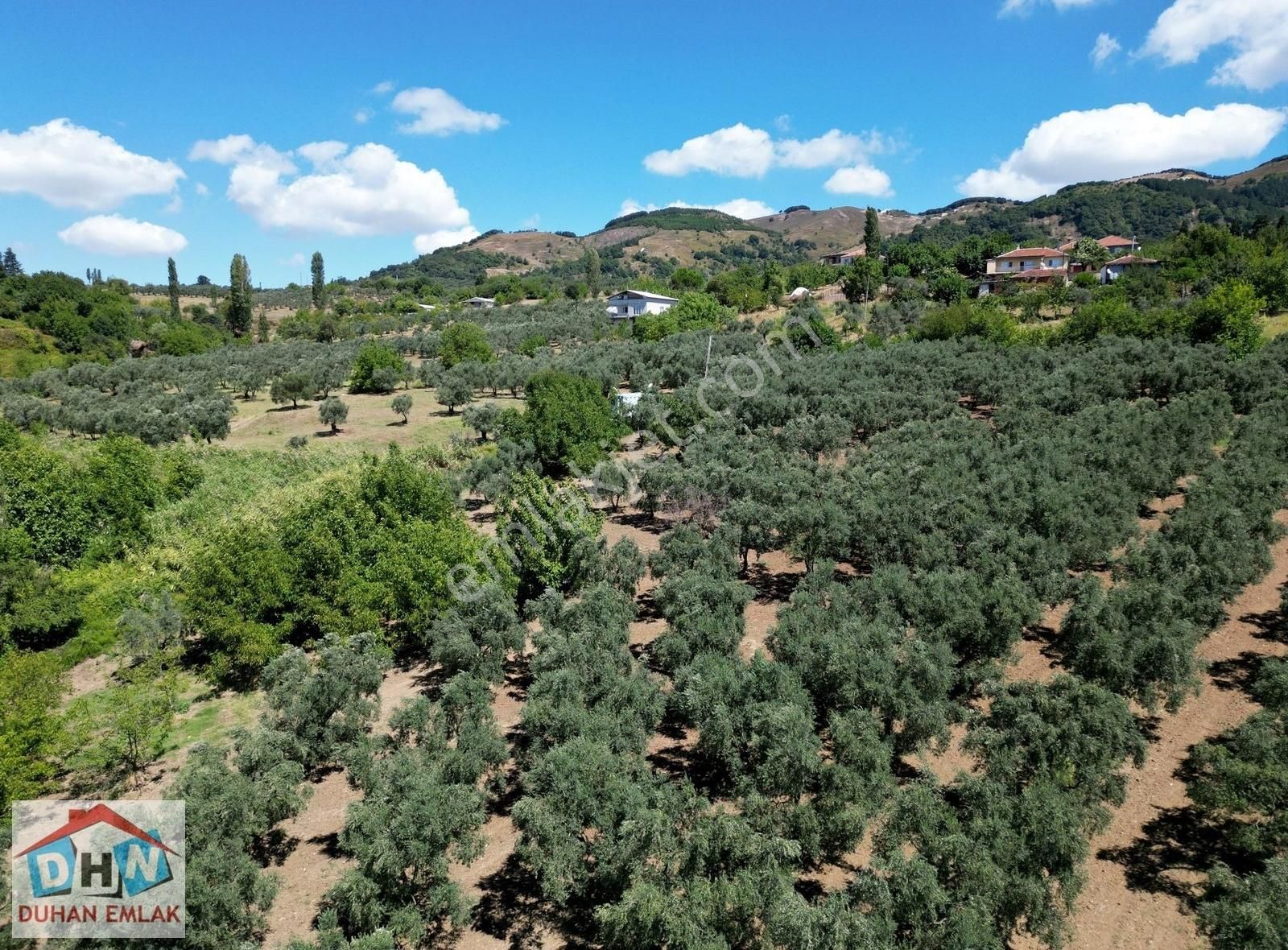 Duhan Emlak'tan Orhangazi Ortaköy'de 11.602m2 Bakımlı Zeytinlik - Görsel 31