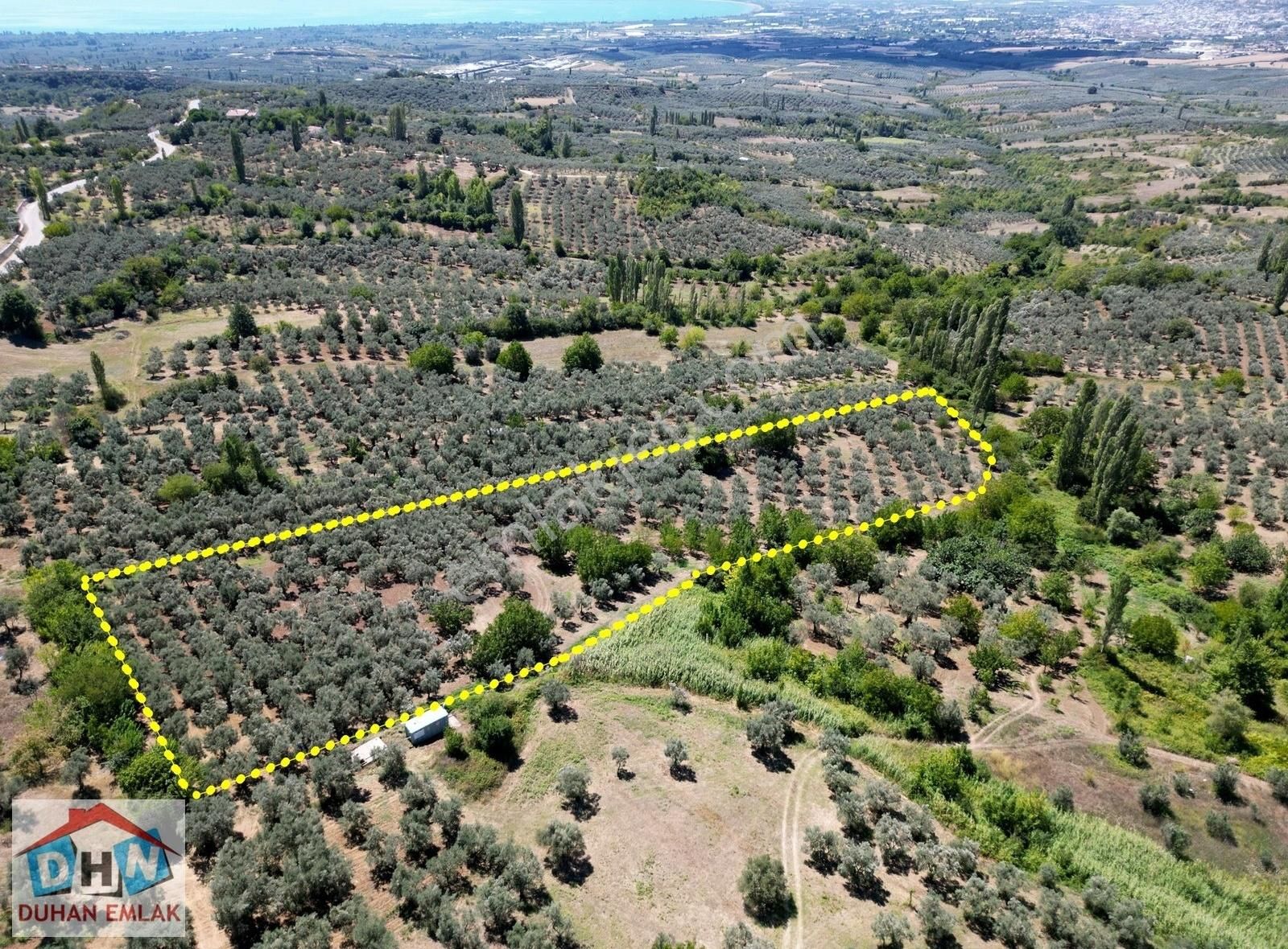 Duhan Emlak'tan Orhangazi Ortaköy'de 11.602m2 Bakımlı Zeytinlik - Görsel 19