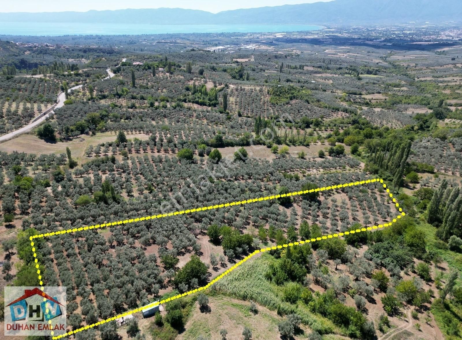 Duhan Emlak'tan Orhangazi Ortaköy'de 11.602m2 Bakımlı Zeytinlik - Görsel 17