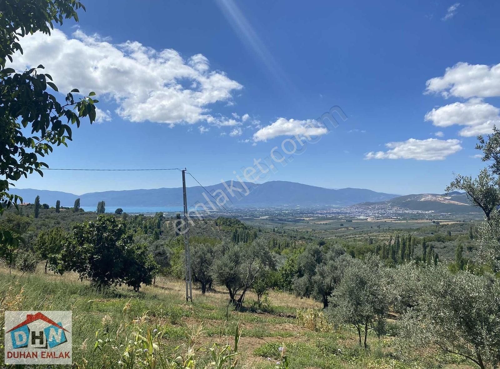 Duhan Emlak'tan Orhangazi Ortaköy'de 11.602m2 Bakımlı Zeytinlik - Görsel 27