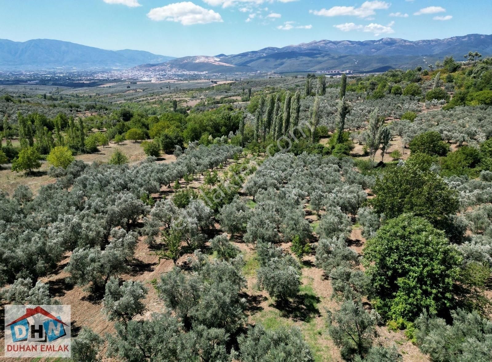 Duhan Emlak'tan Orhangazi Ortaköy'de 11.602m2 Bakımlı Zeytinlik - Görsel 26