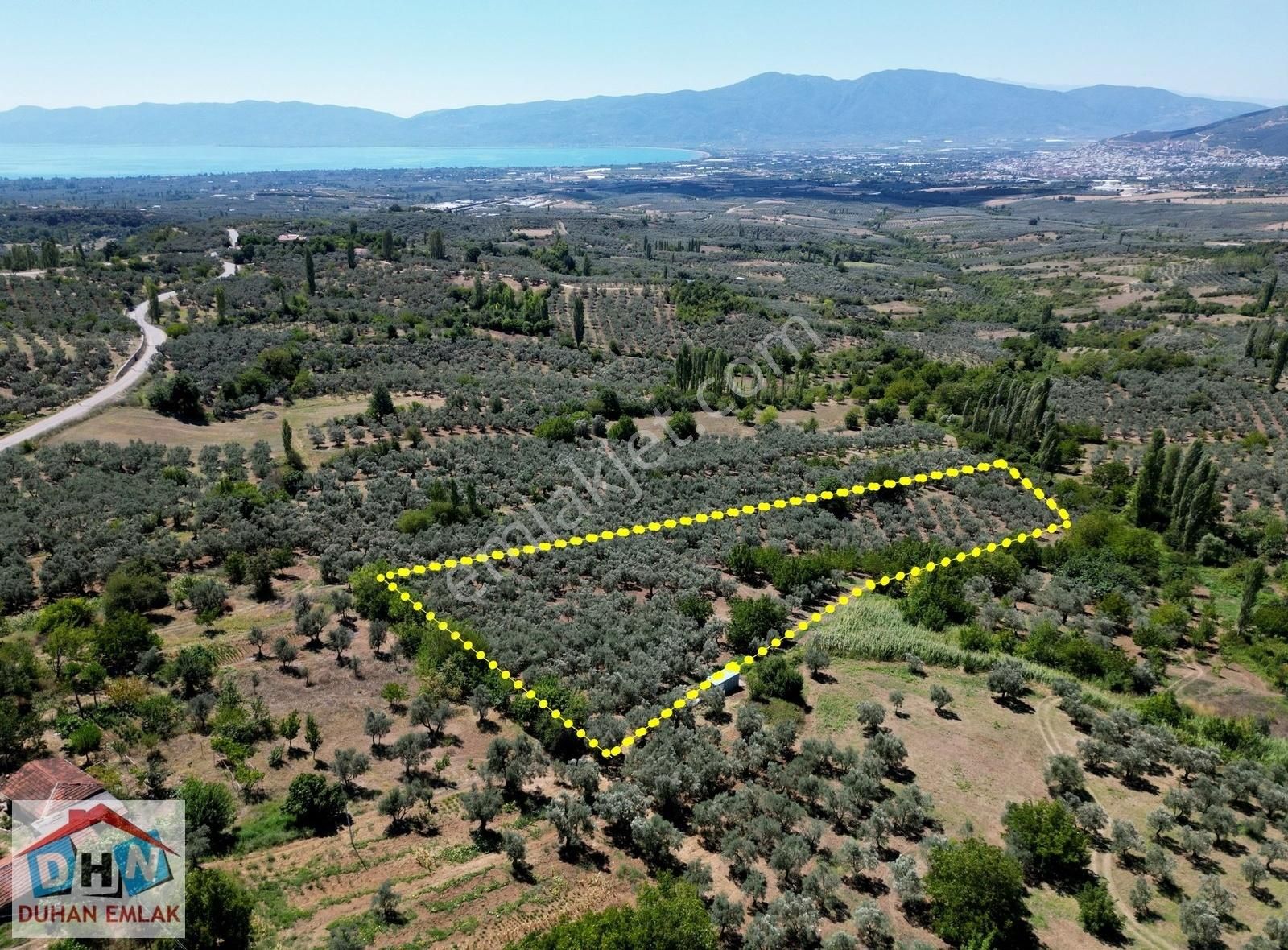 Duhan Emlak'tan Orhangazi Ortaköy'de 11.602m2 Bakımlı Zeytinlik - Görsel 16